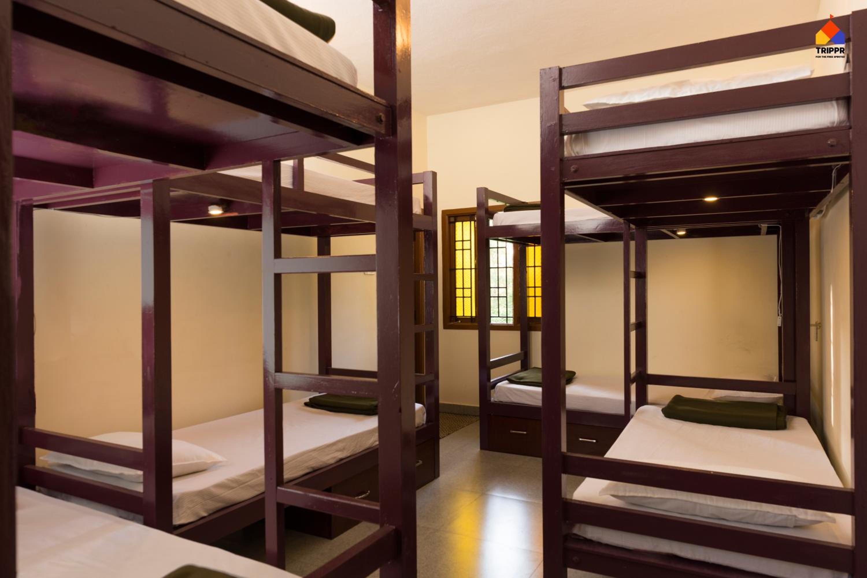 Bed in 8-Bed Mixed Dormitory Room photo 1