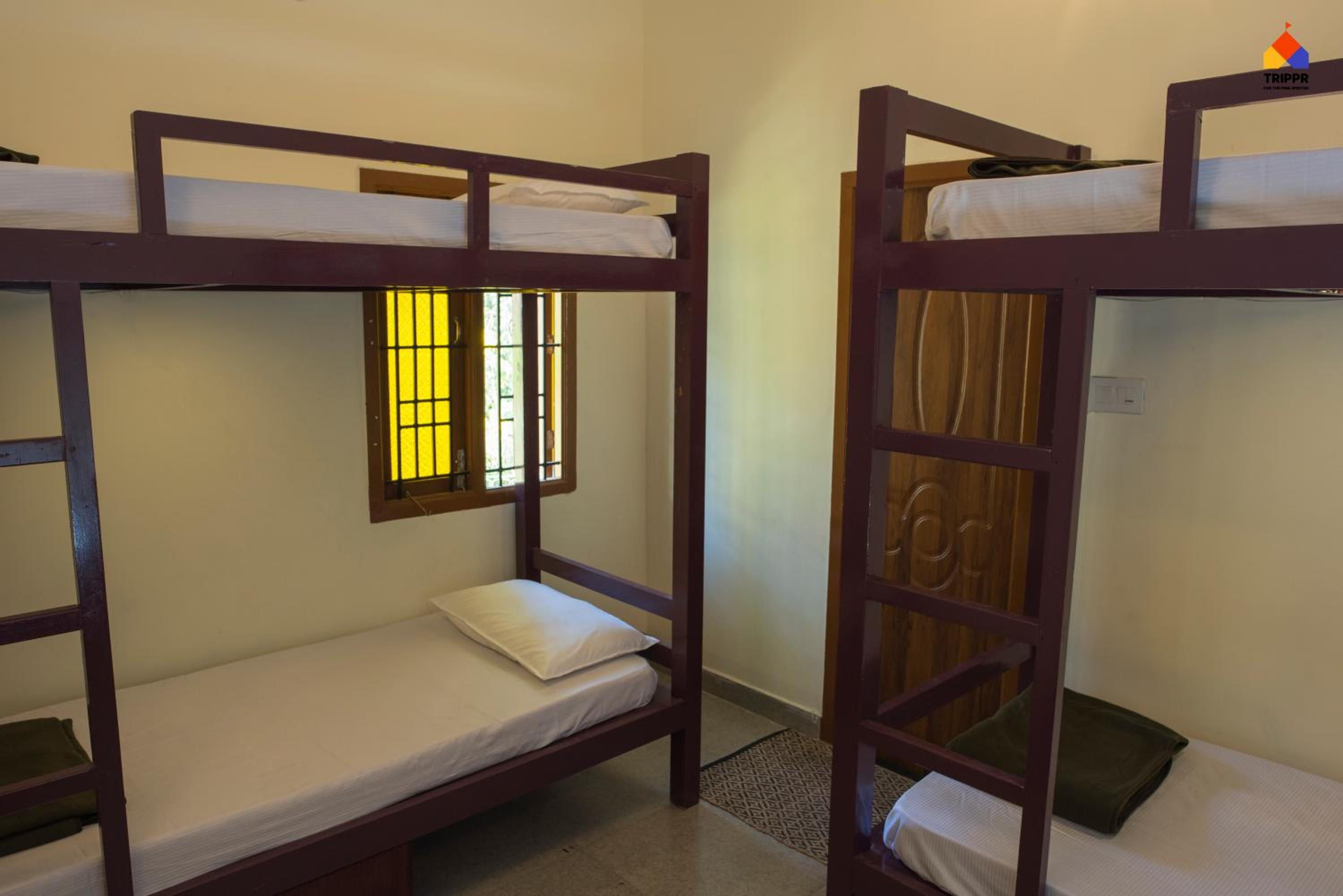 Bed in 4-Bed Mixed Dormitory Room photo 2