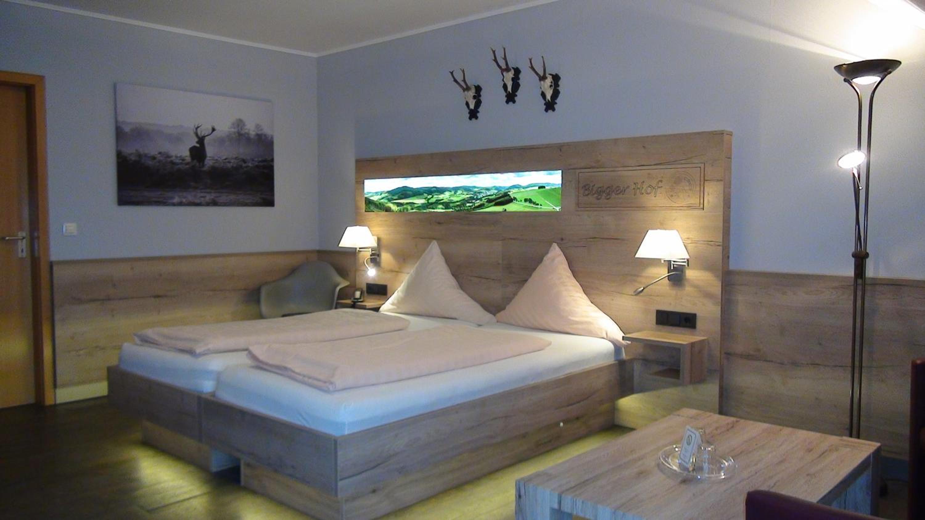 Deluxe Double Room with Bath photo 2