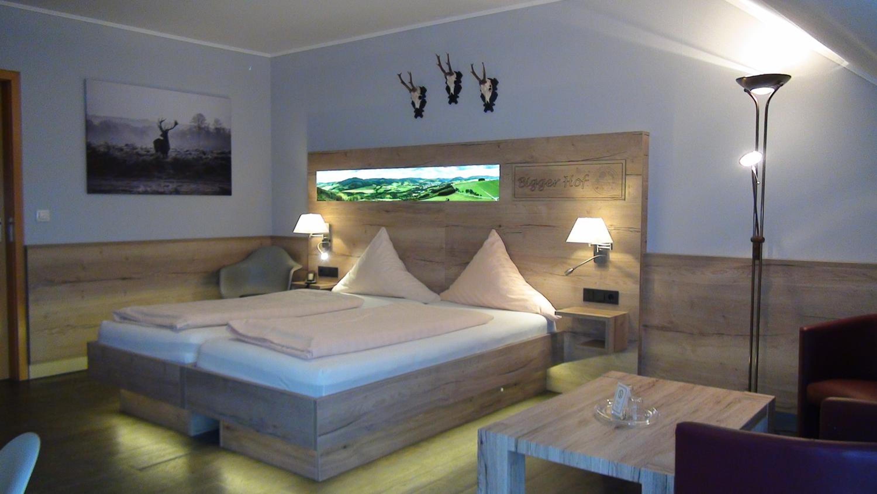 Deluxe Double Room with Bath photo 3