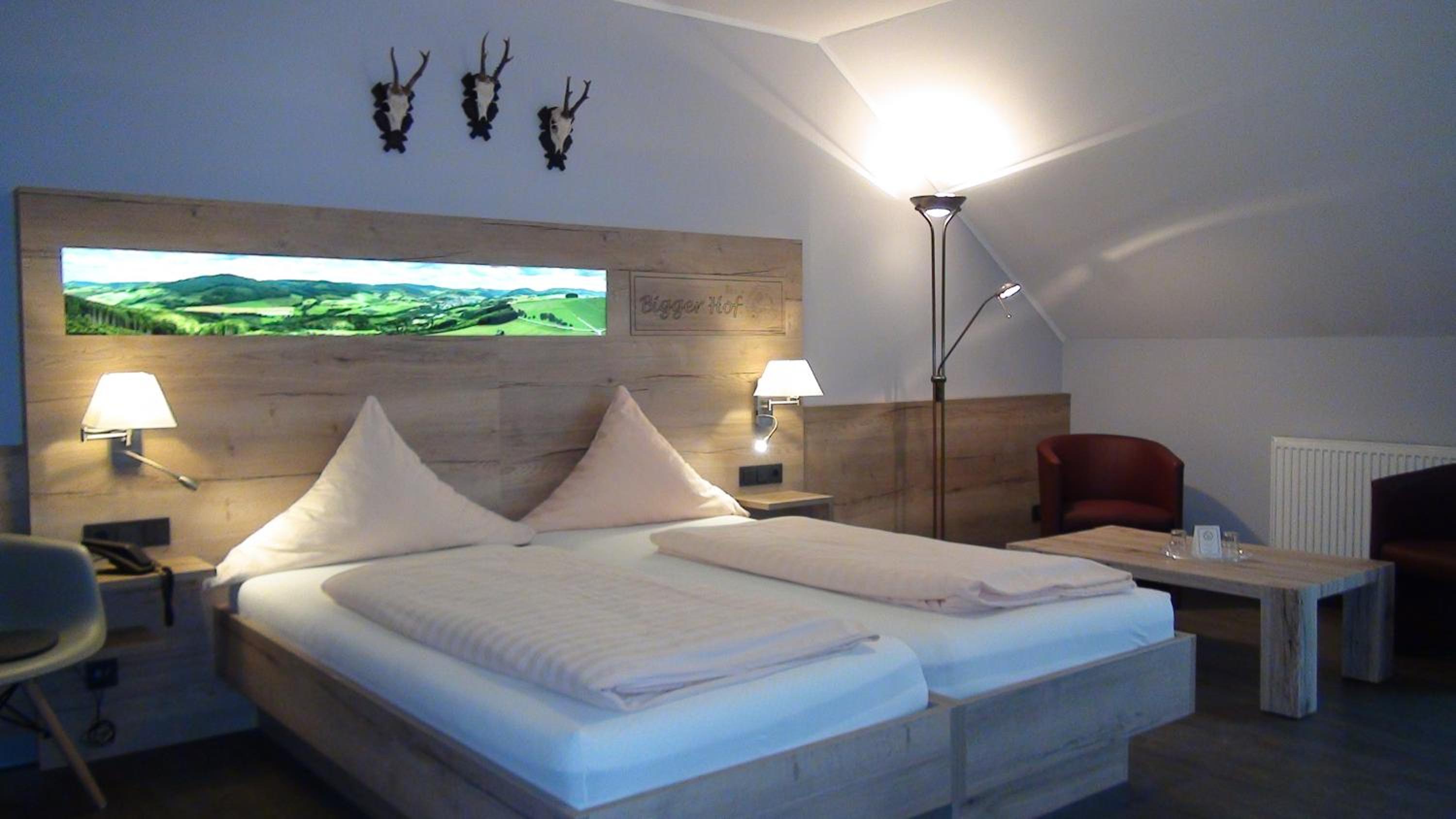 Deluxe Double Room with Bath photo 3