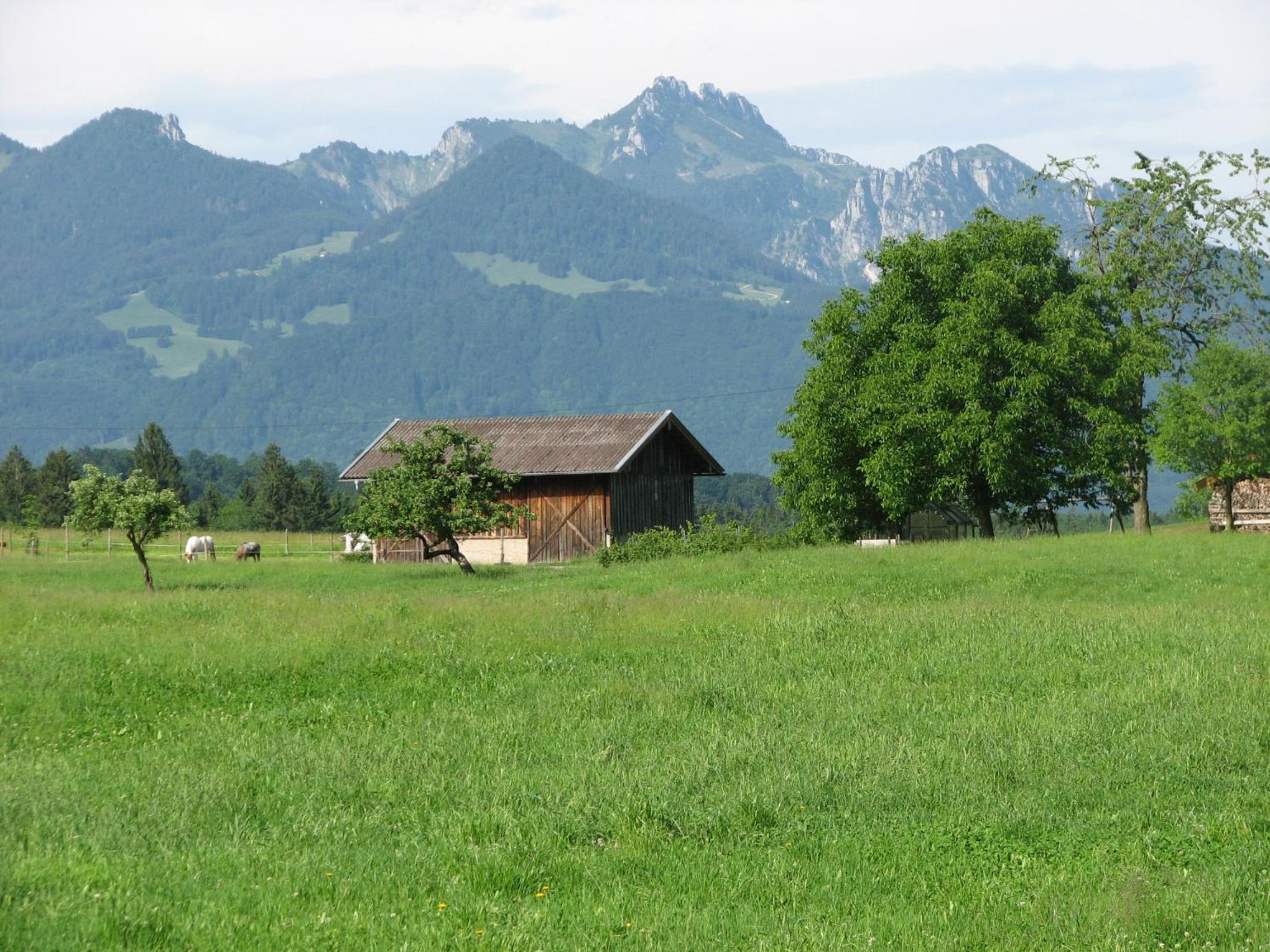 FeWo Achental photo 2