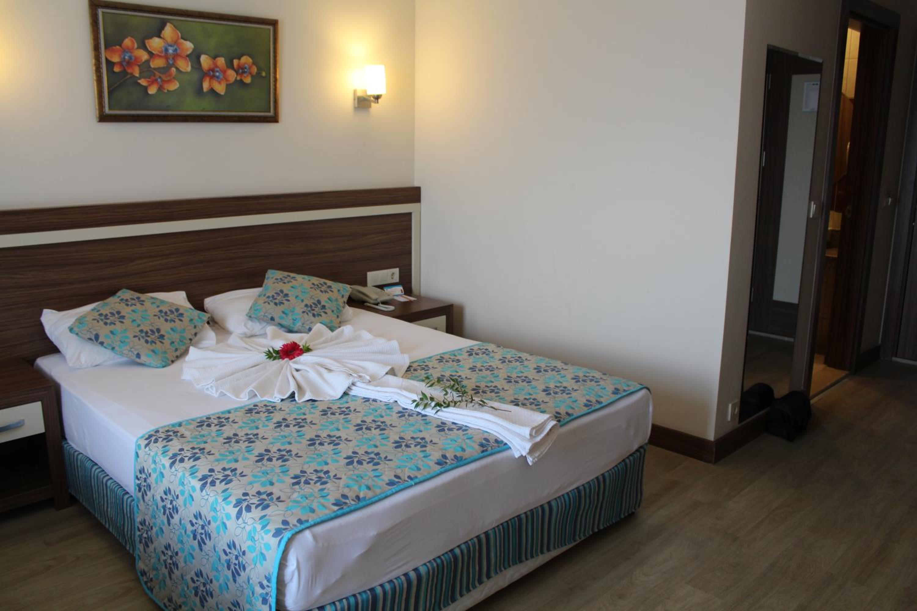 Large Single Room