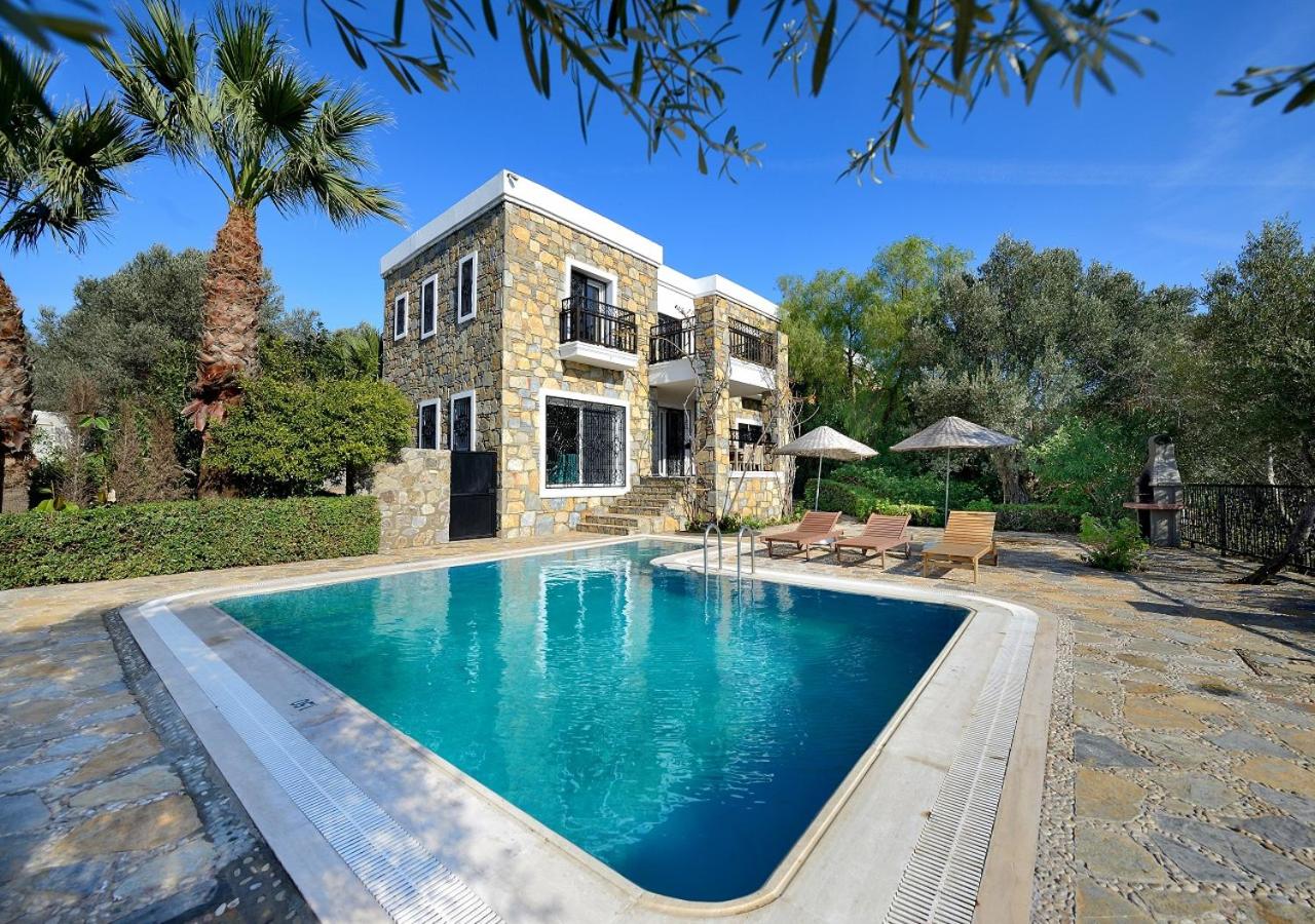 Villa With Private Pool photo 2