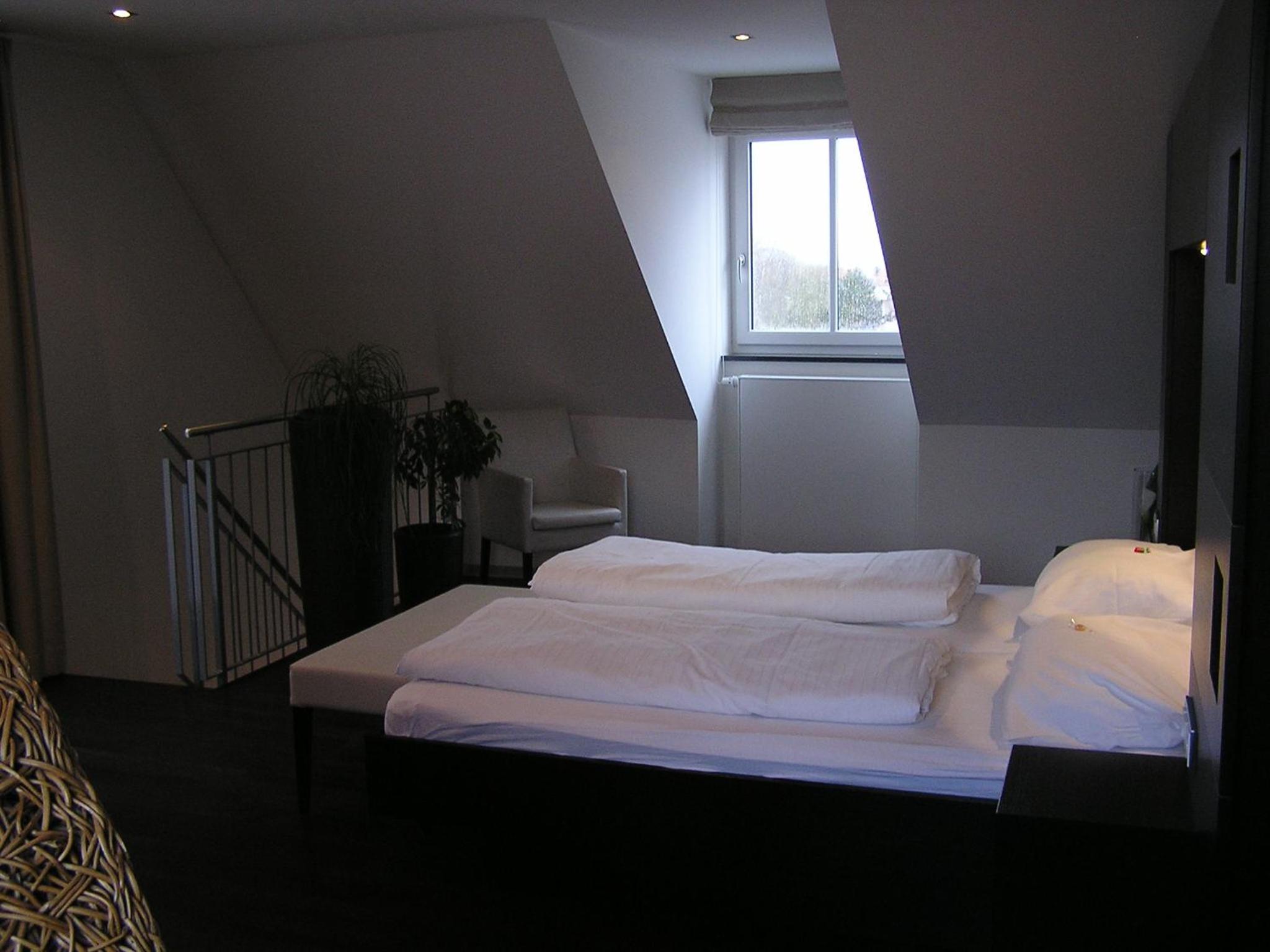 Suite - Photo 4