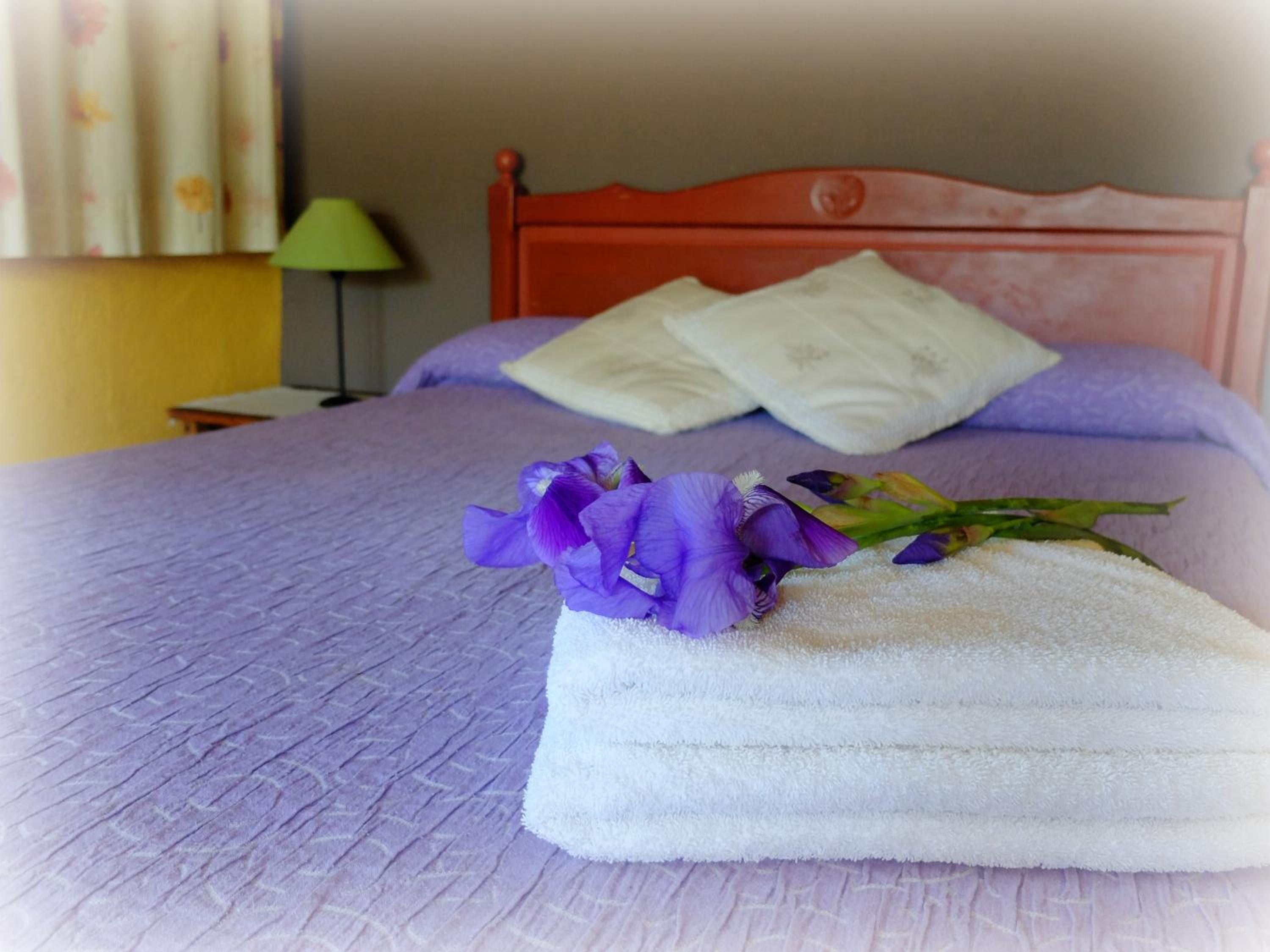Apartamento de dos habitaciones (5 adultos)