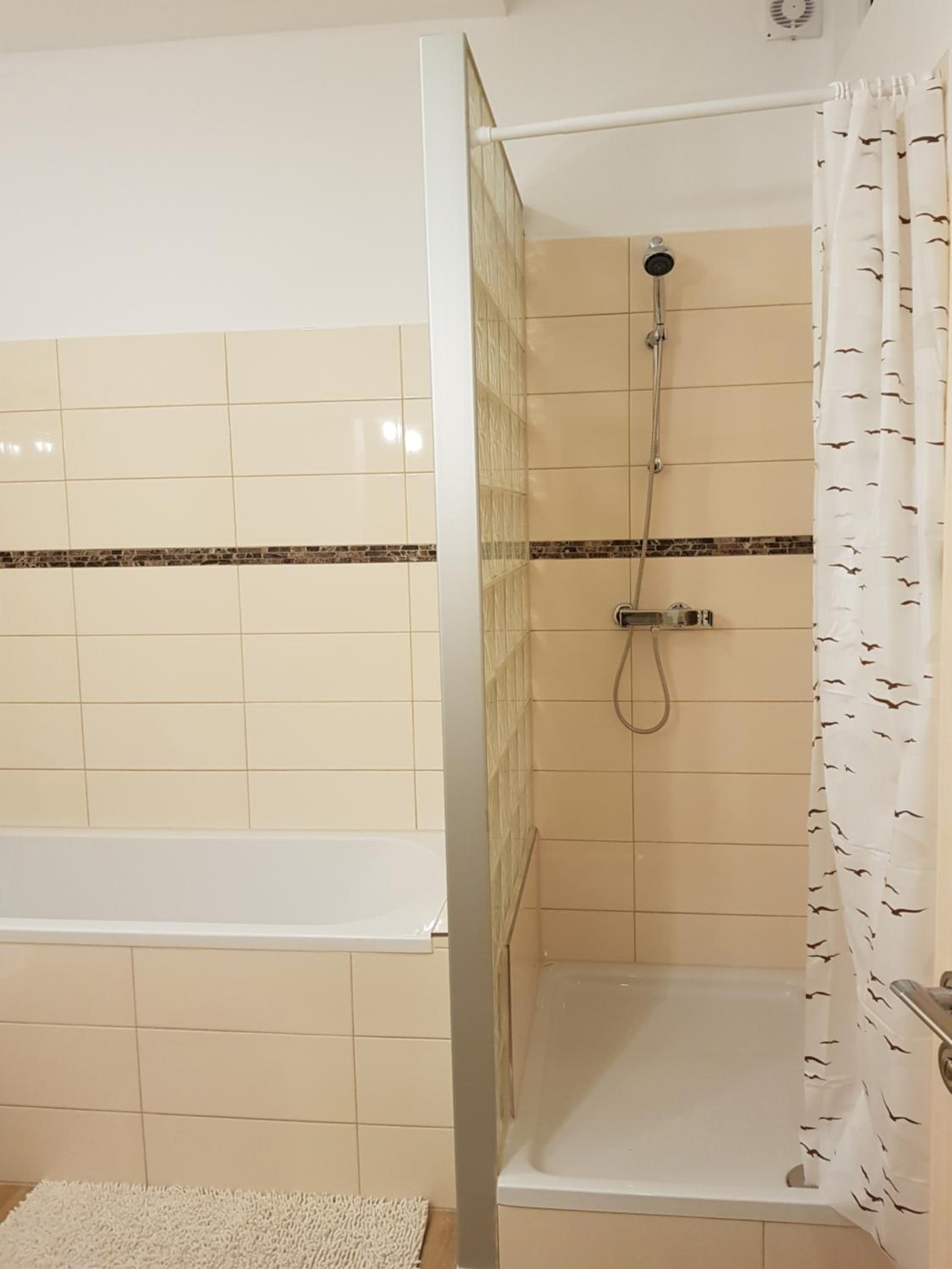 Apartment - Photo 11