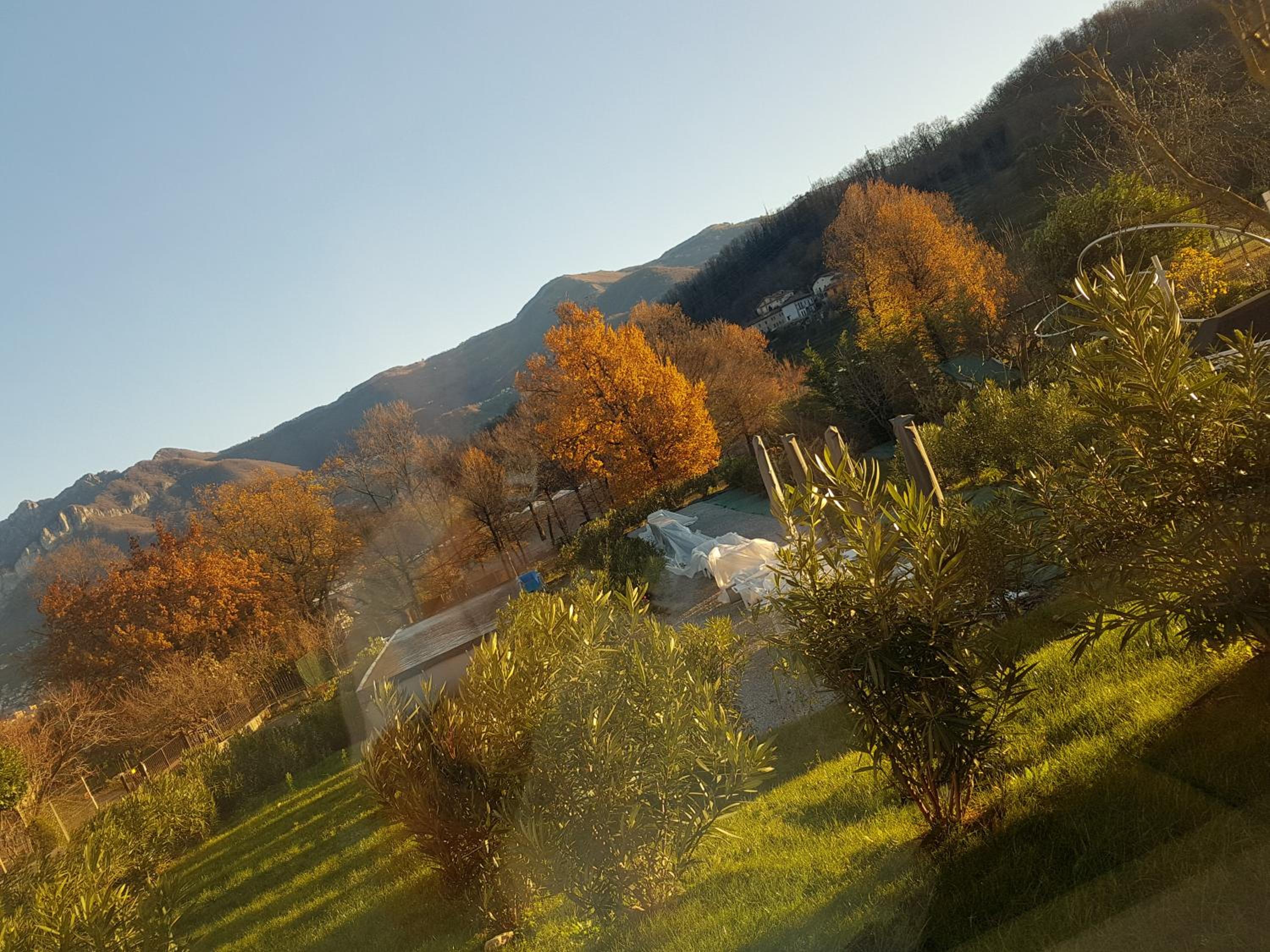 Double Room with Garden View - Photo 7