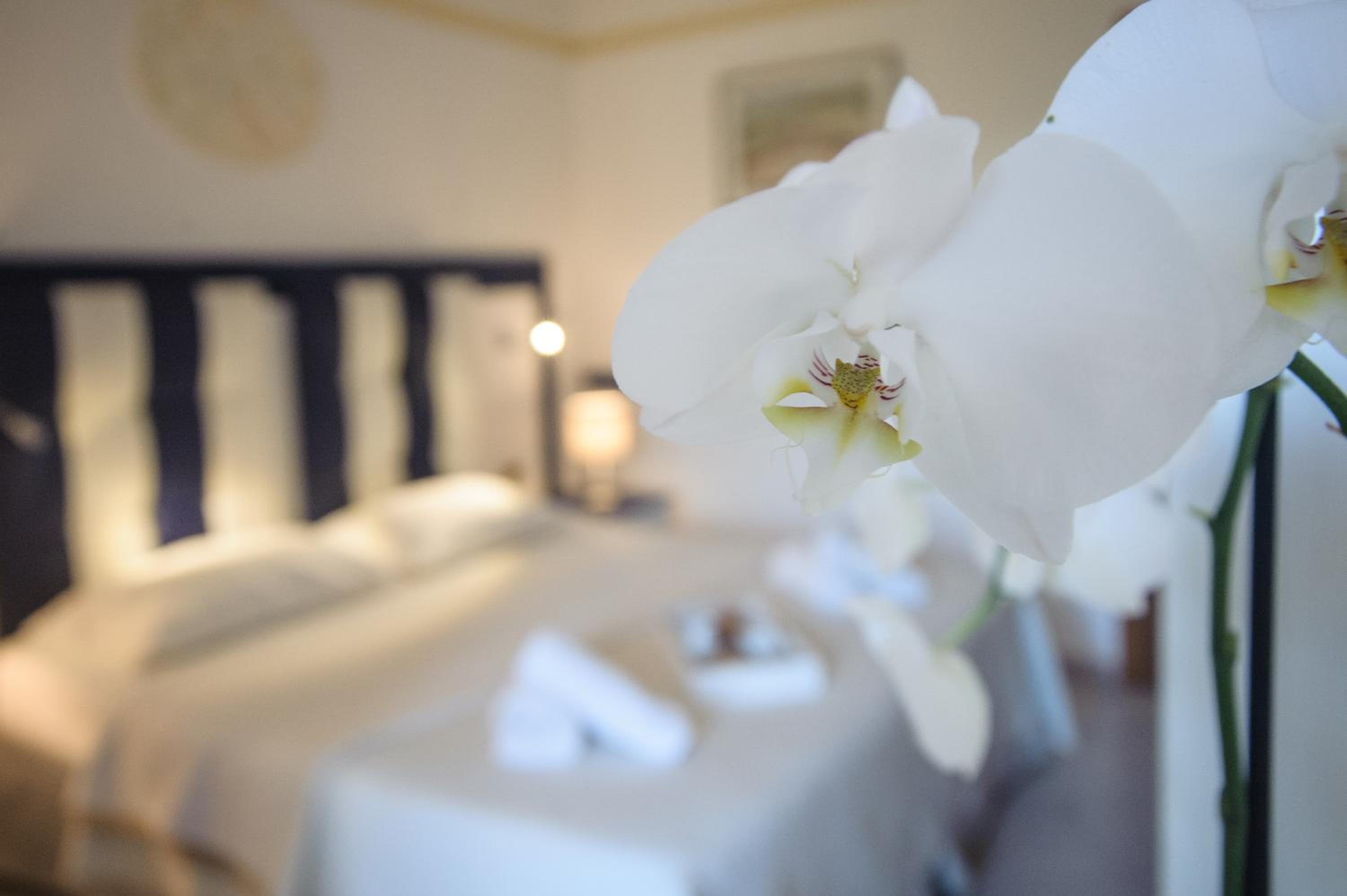 Double Room - Photo 9