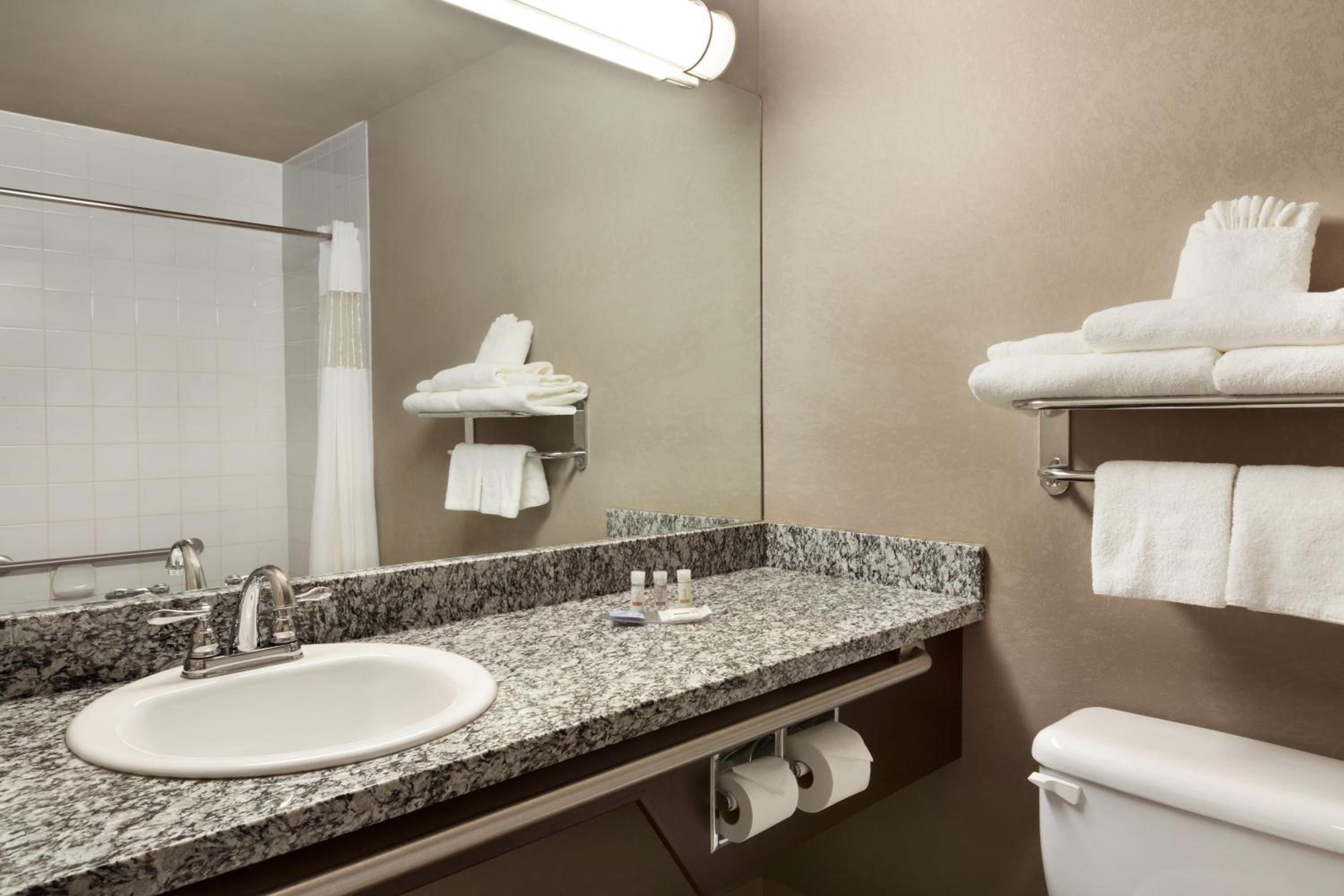 One-Bedroom King Suite - Non-Smoking - Photo 4