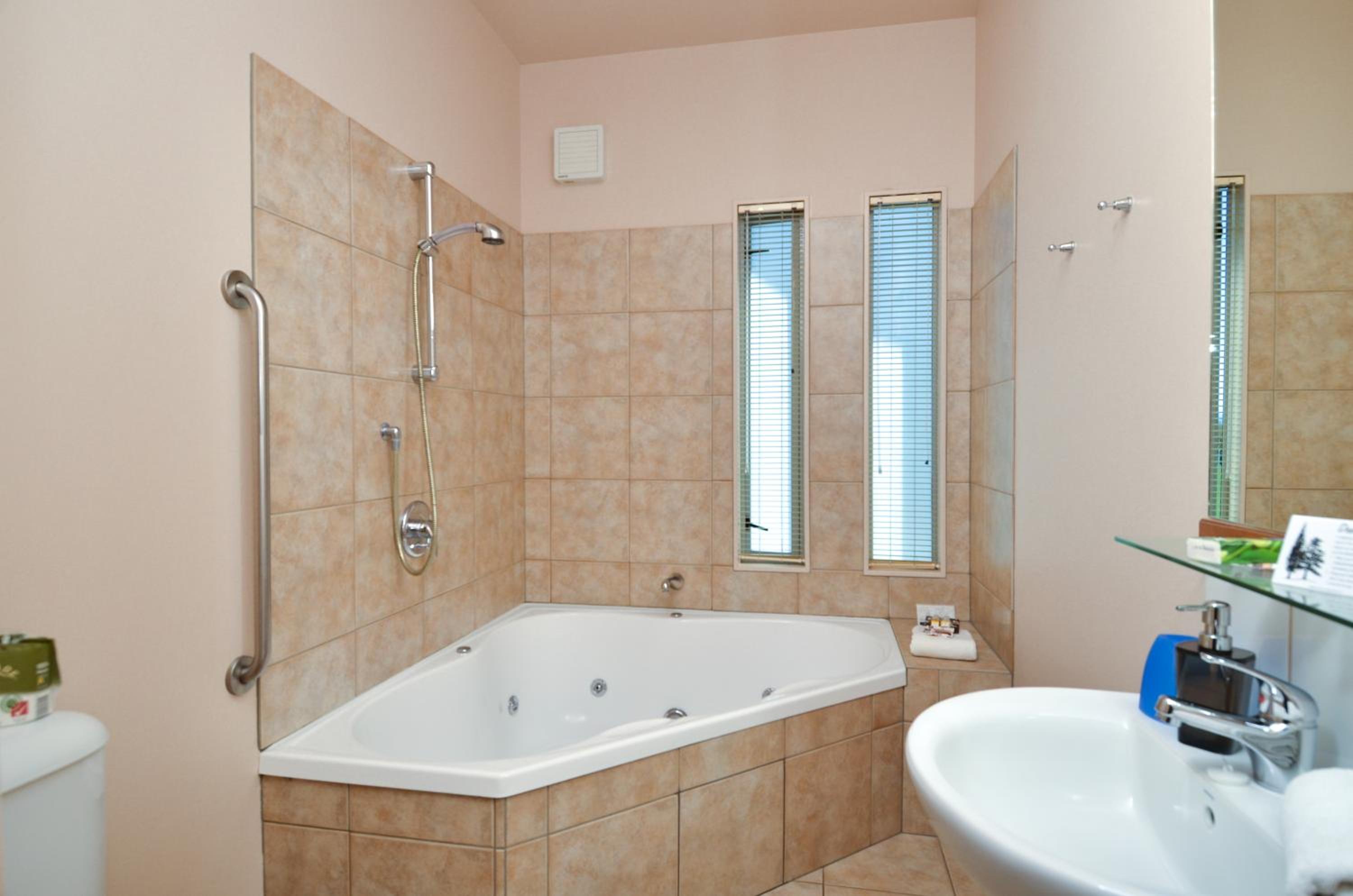 Executive One-Bedroom Apartment with Spa Bath photo 3