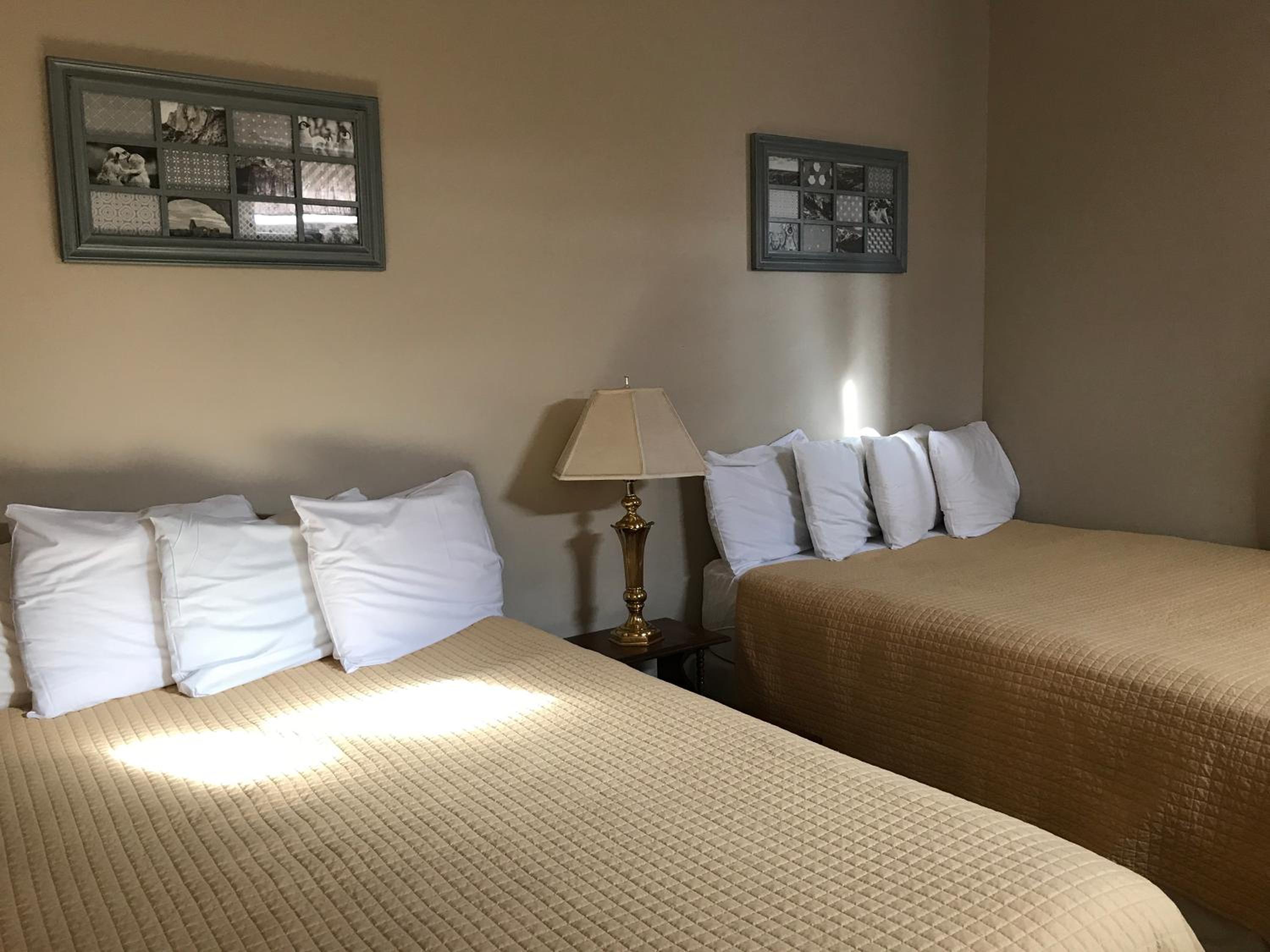 Queen Room with Two Queen Beds photo 1