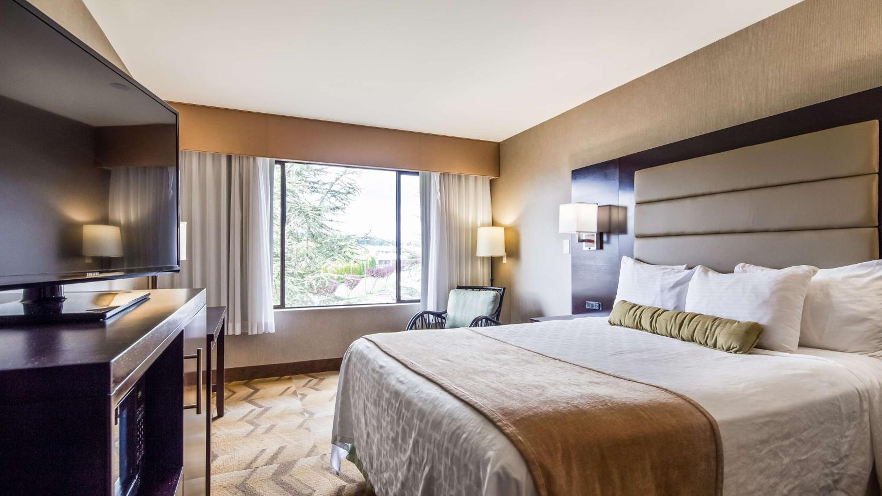 King Room with City View - Photo 1