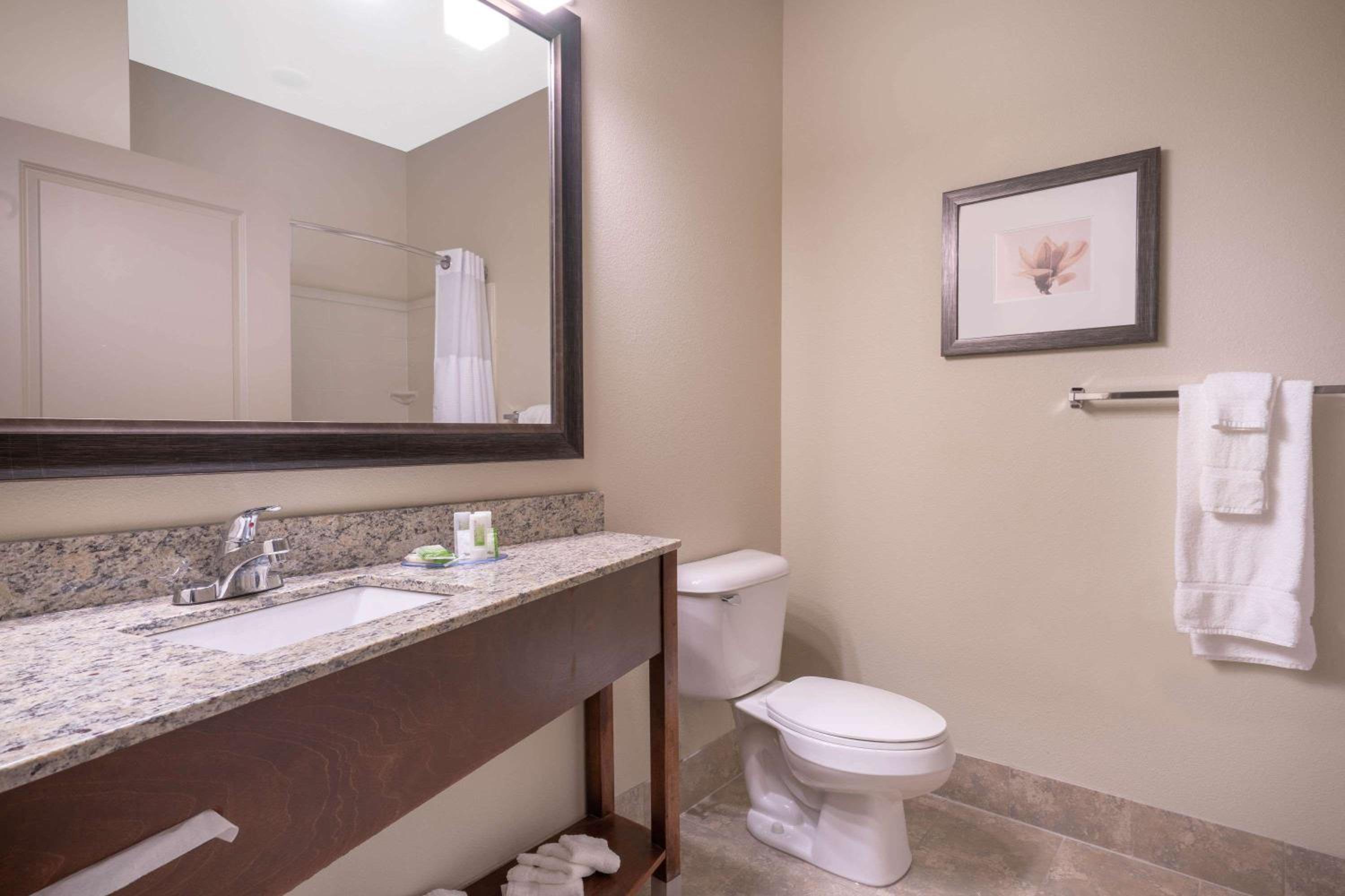 One-Bedroom King Suite with Sofa Bed - Non-Smoking photo 3