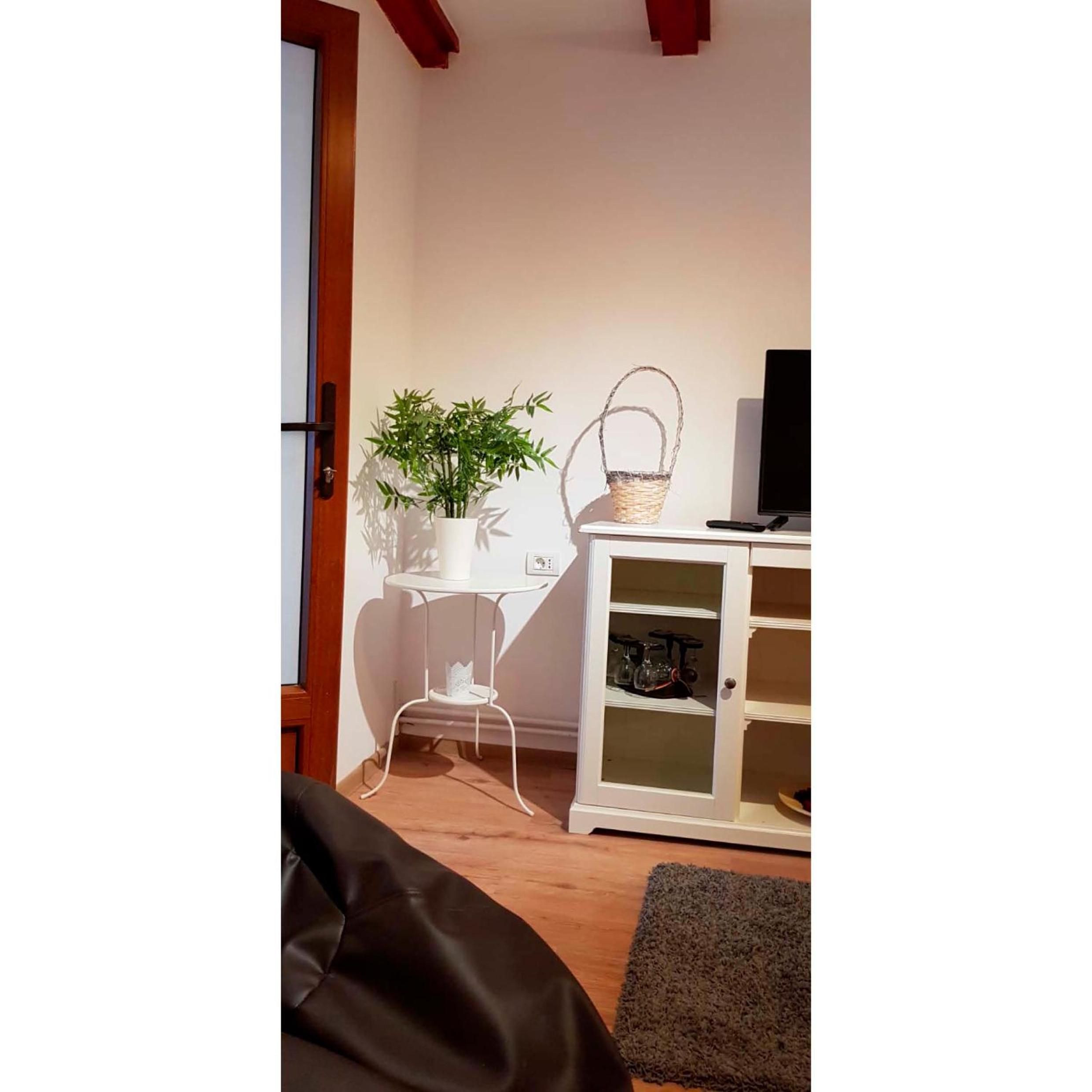 Apartment - Photo 5