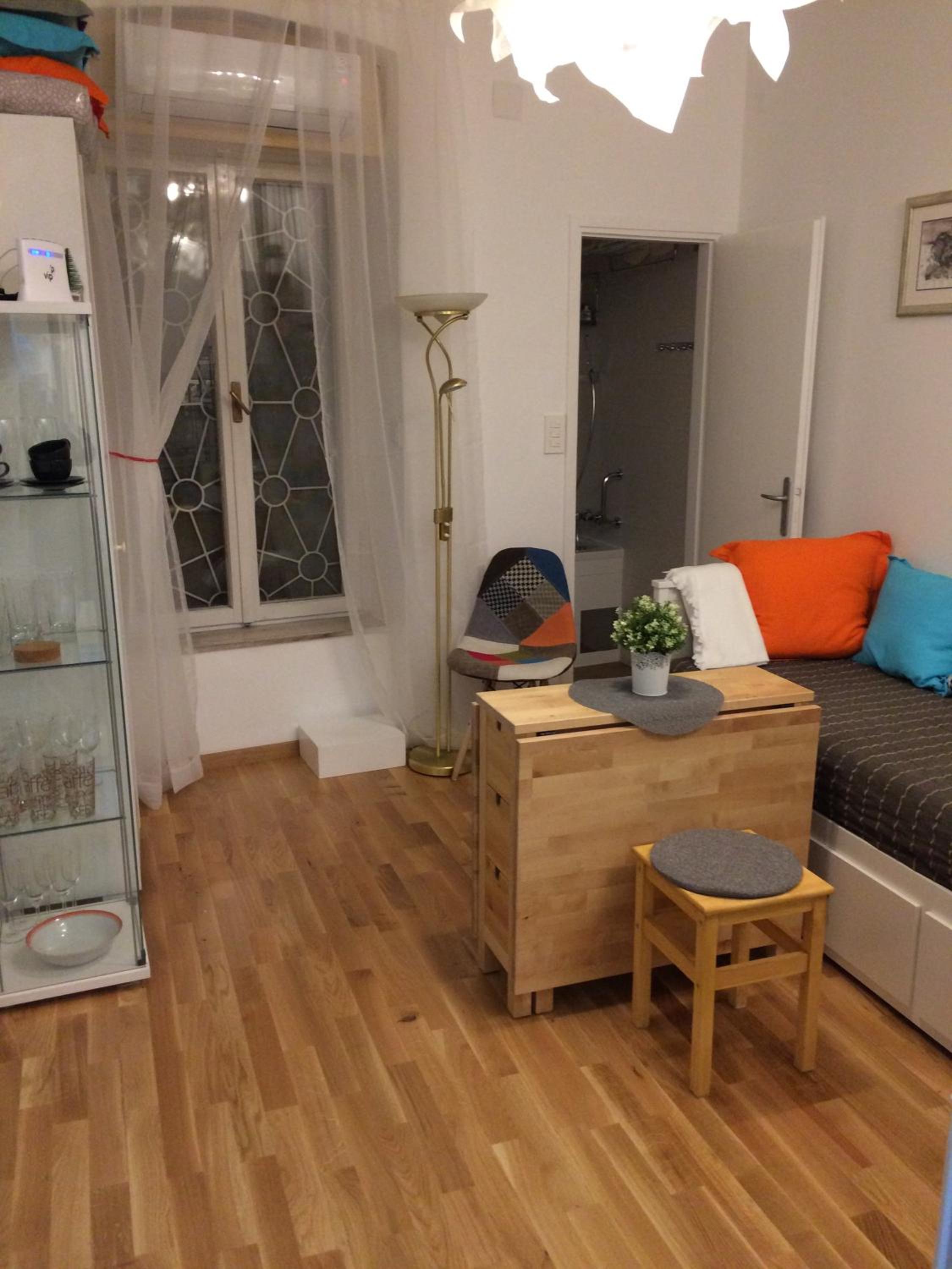 Studio Apartment - Photo 7