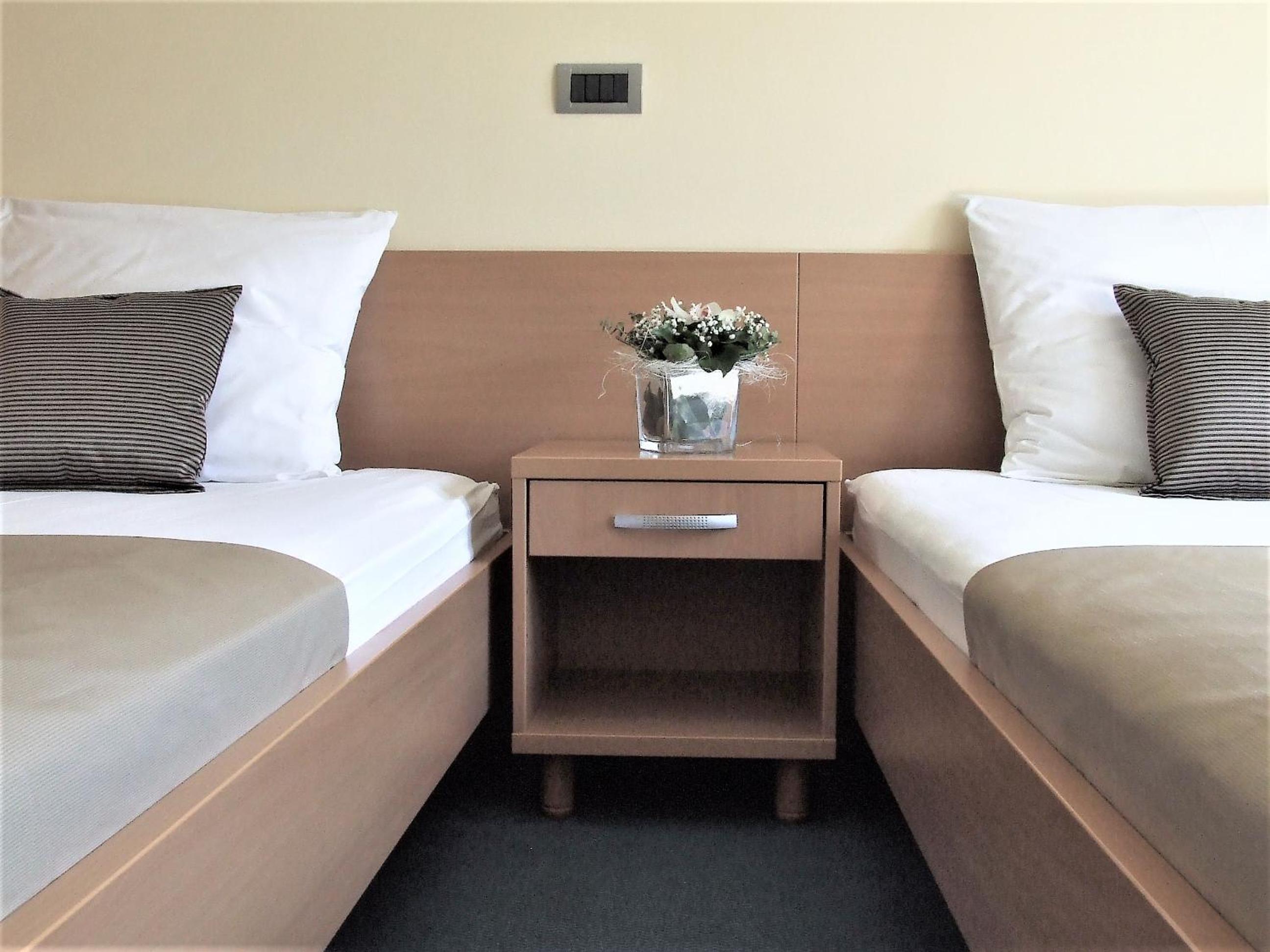 Twin Room photo 1