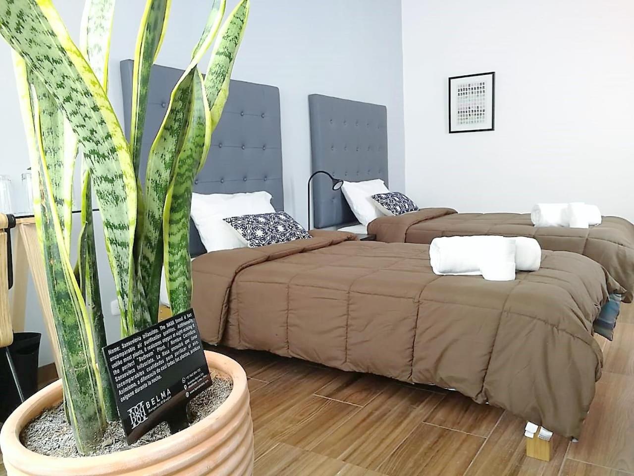 Twin Room with Private Bathroom photo 2