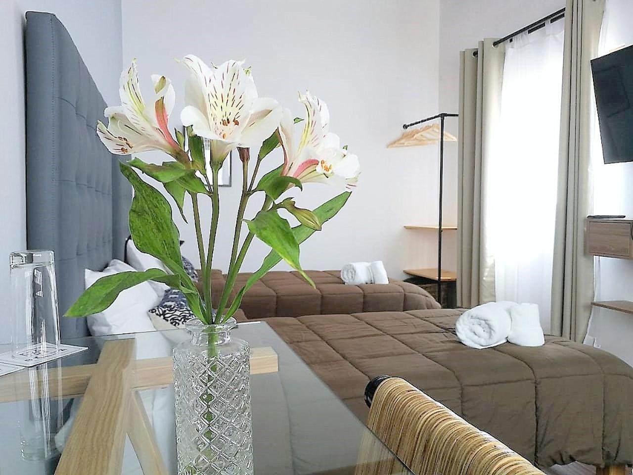 Deluxe Single Room photo 2