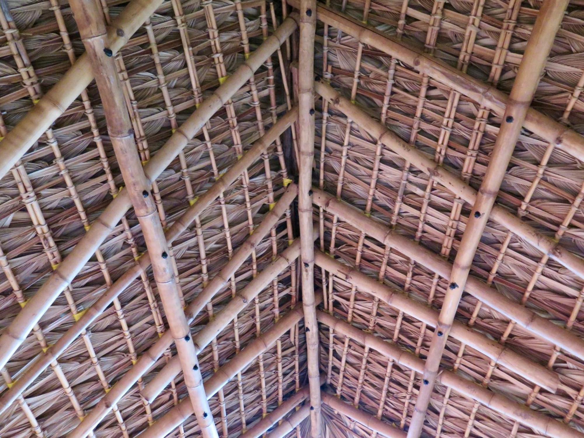 Cabaña Pelicano photo 2
