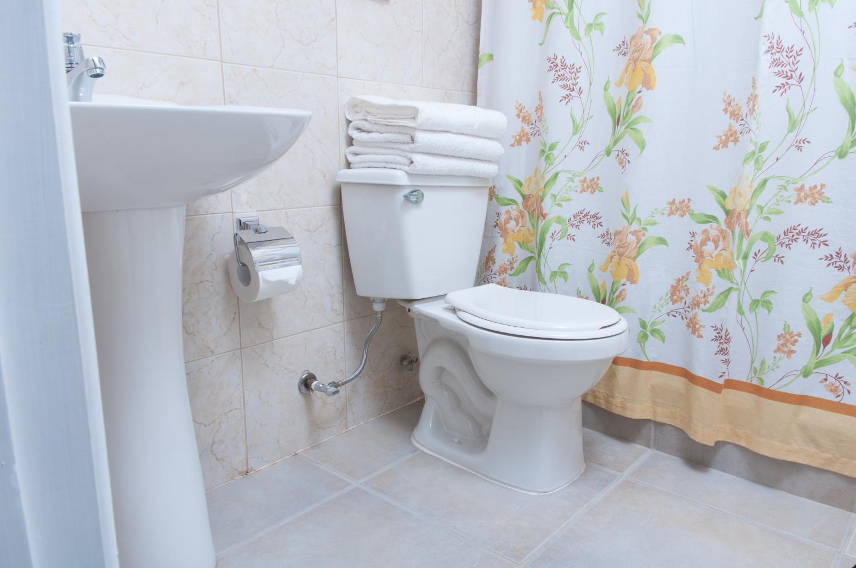 Bungalow (4 Adults) photo 2
