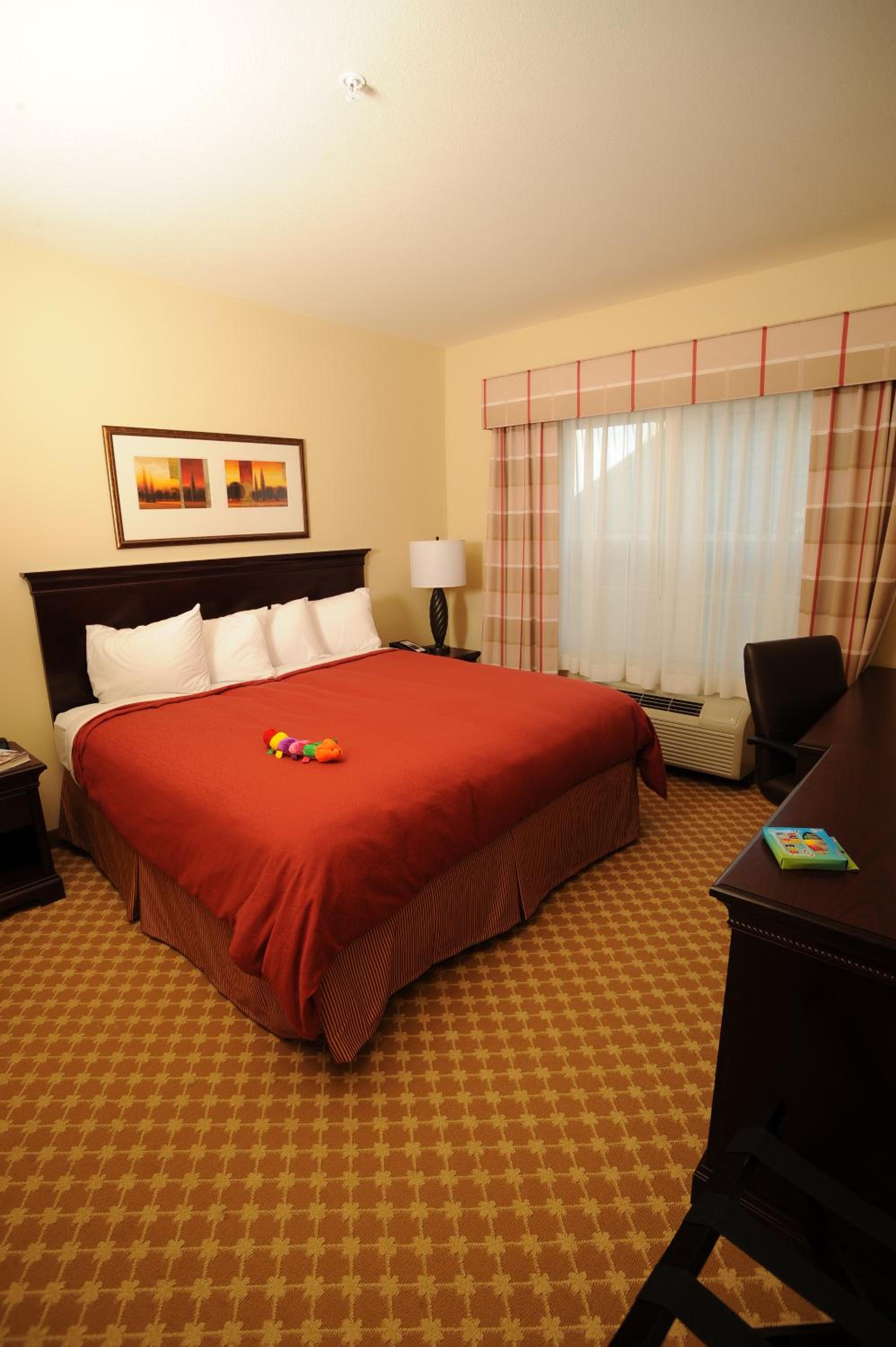 King Room - Non-Smoking - Photo 1