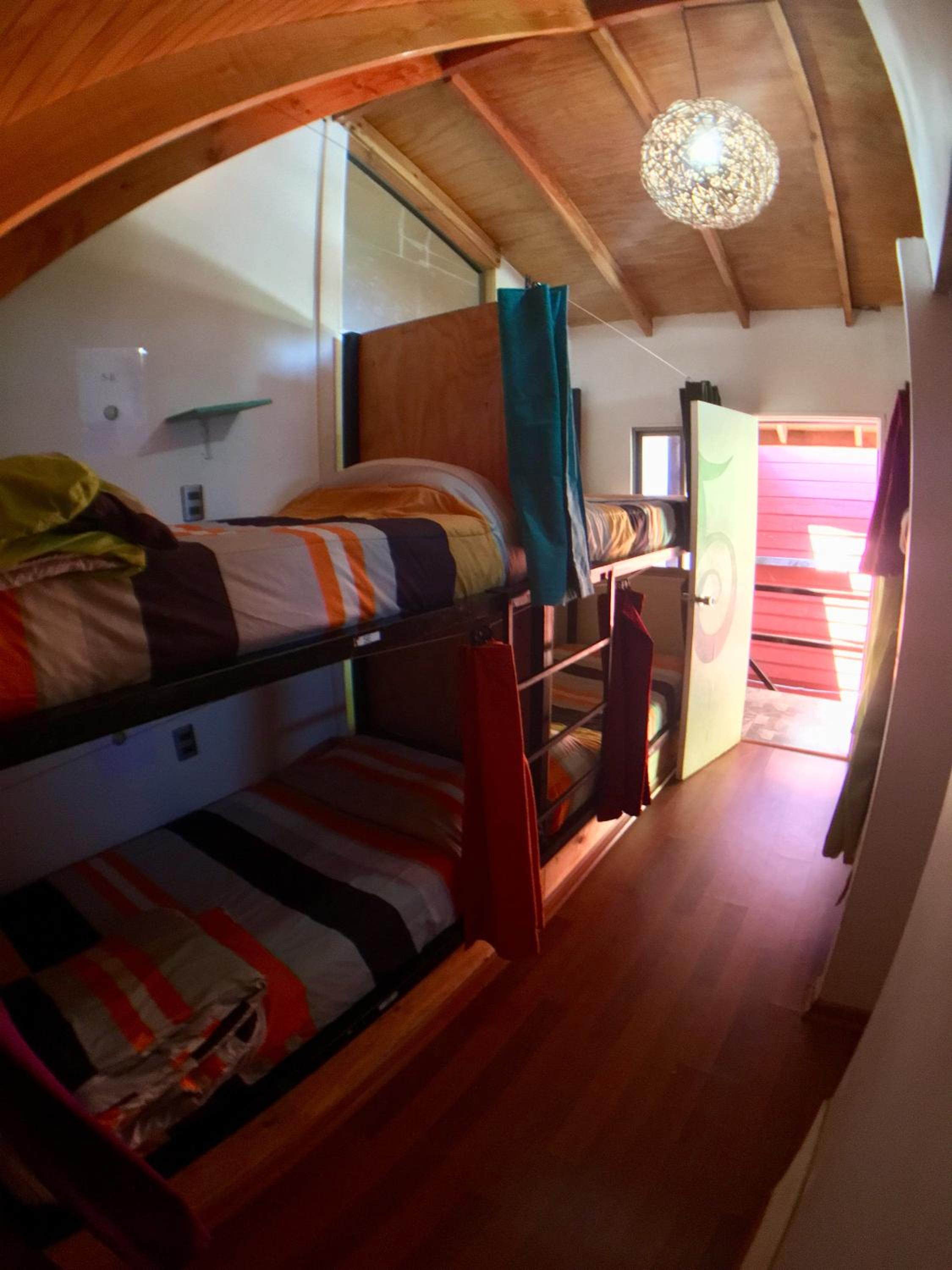 Single Bed in Mixed Dormitory Room photo 3