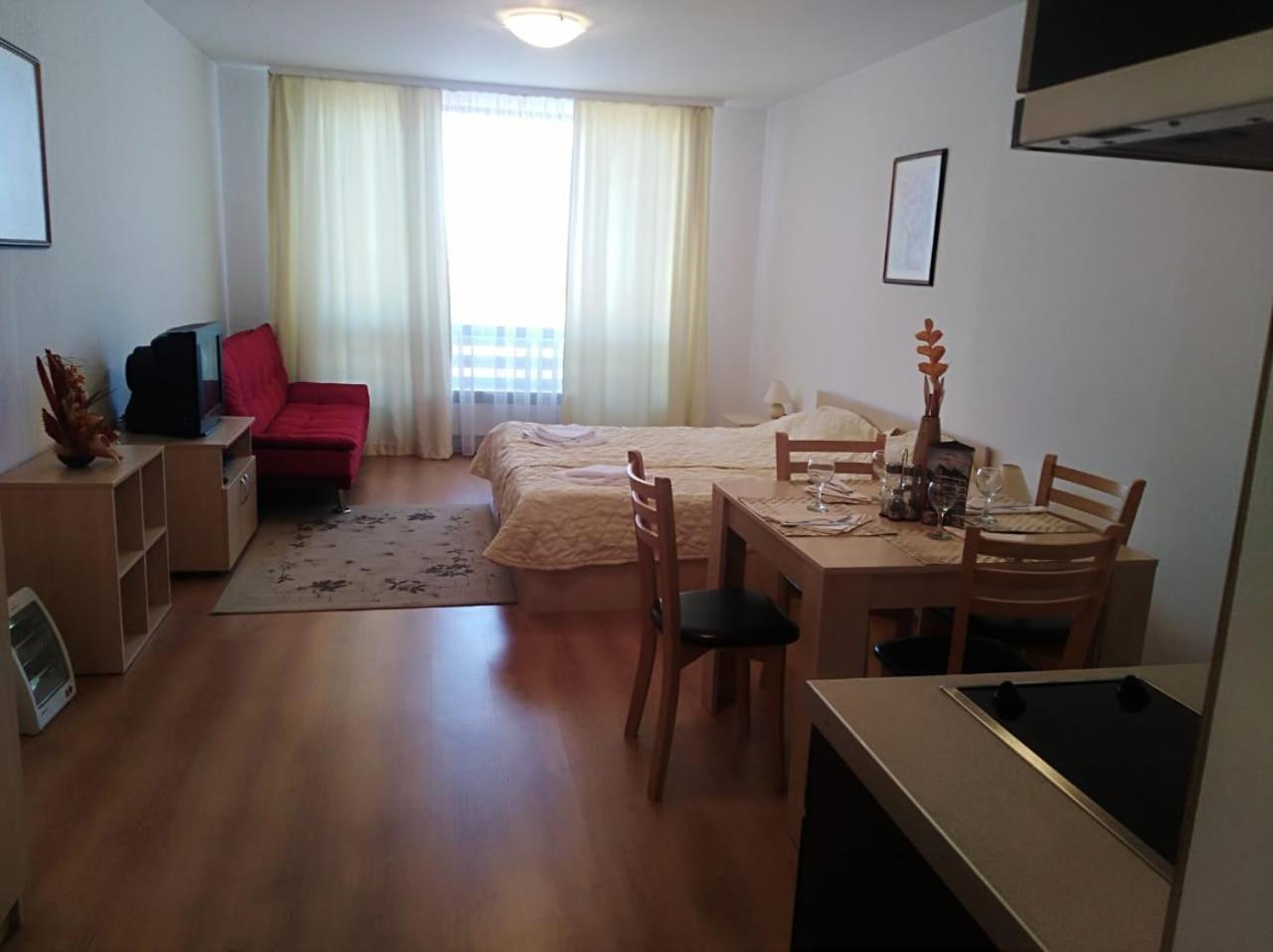 Studio Apartment photo 1