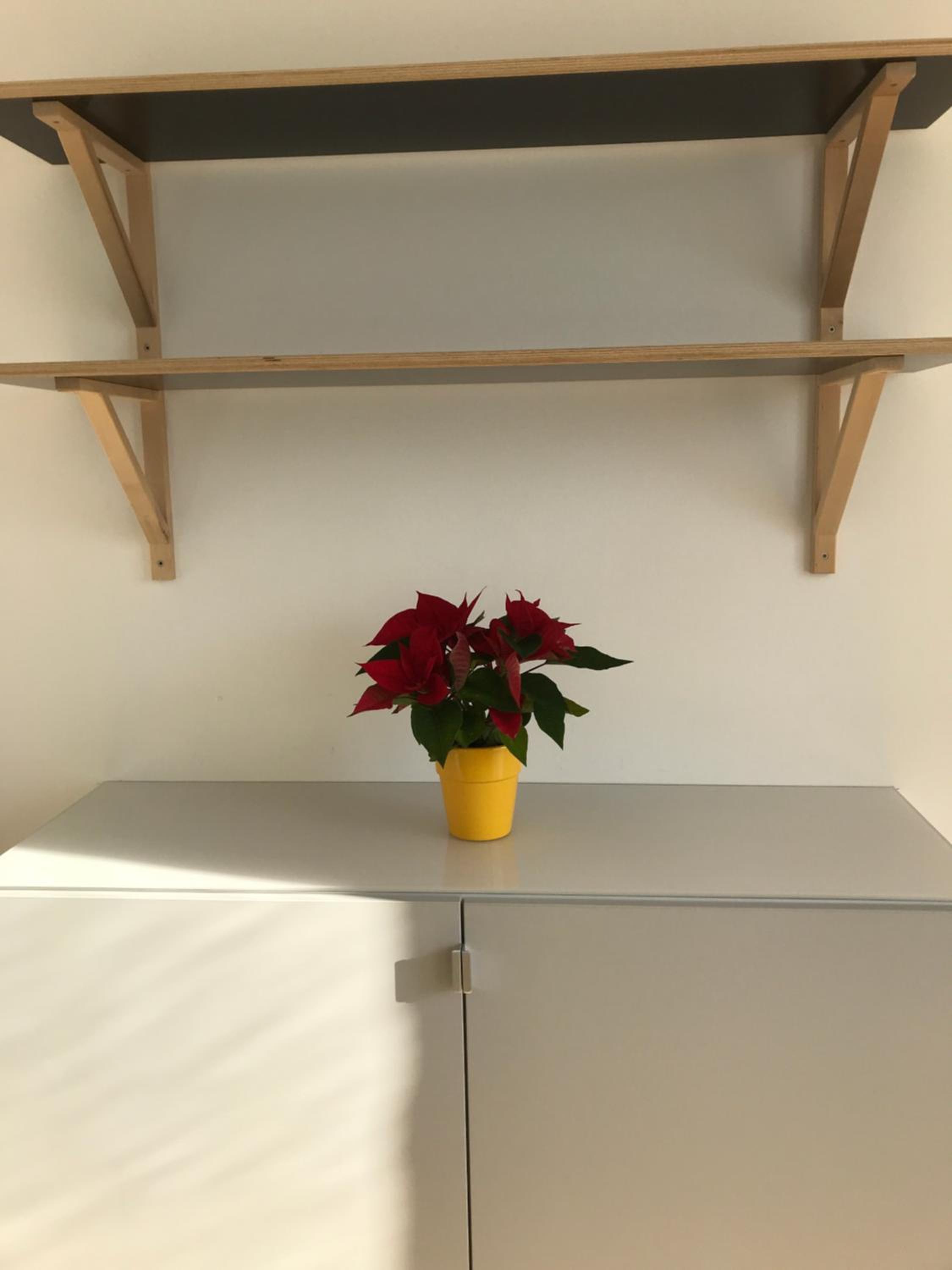 Apartment with Lake View photo 3