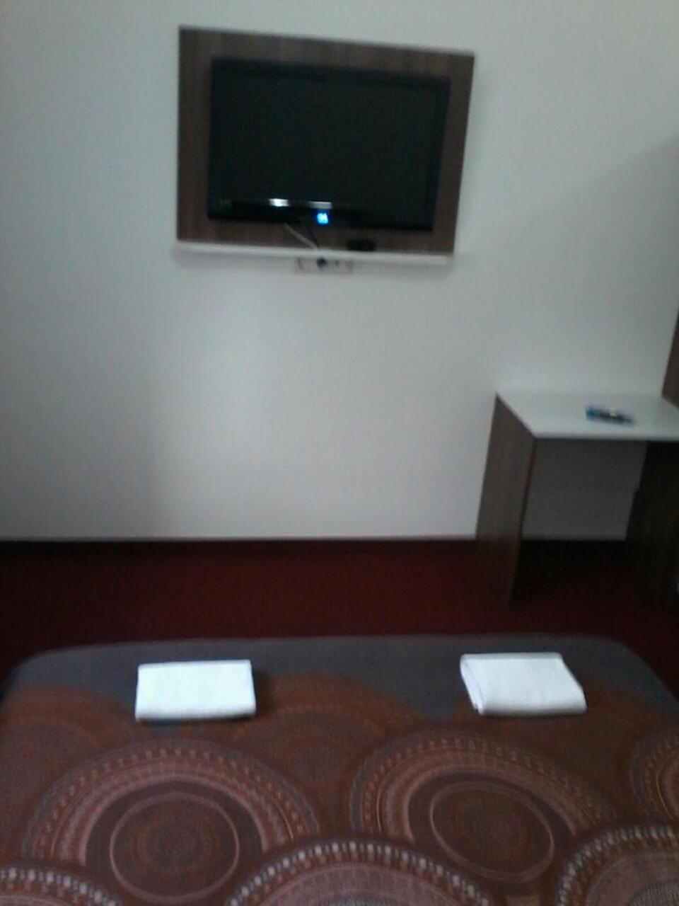 Deluxe Double or Twin Room photo 3