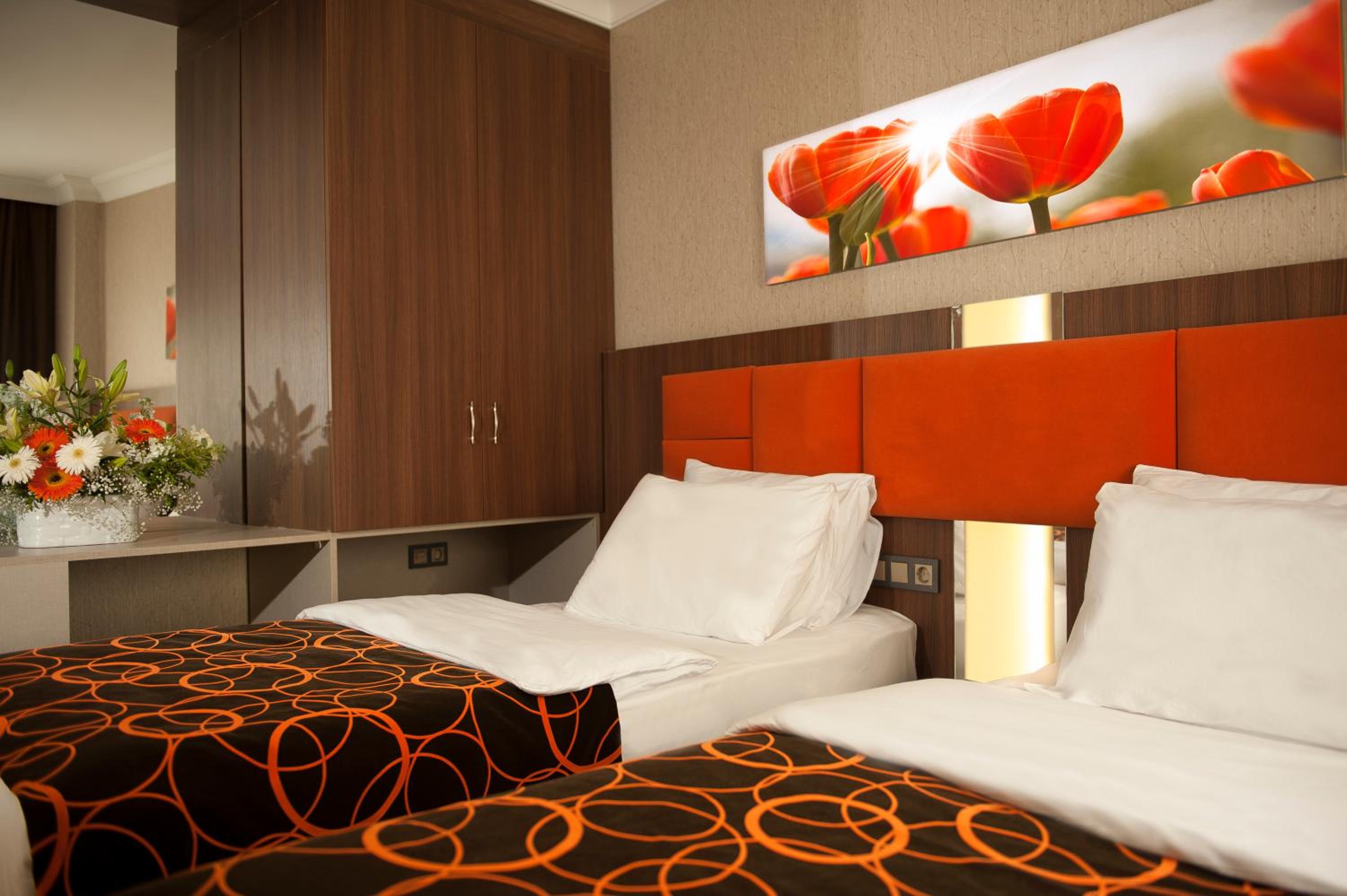 Standard Double or Twin Room photo 2