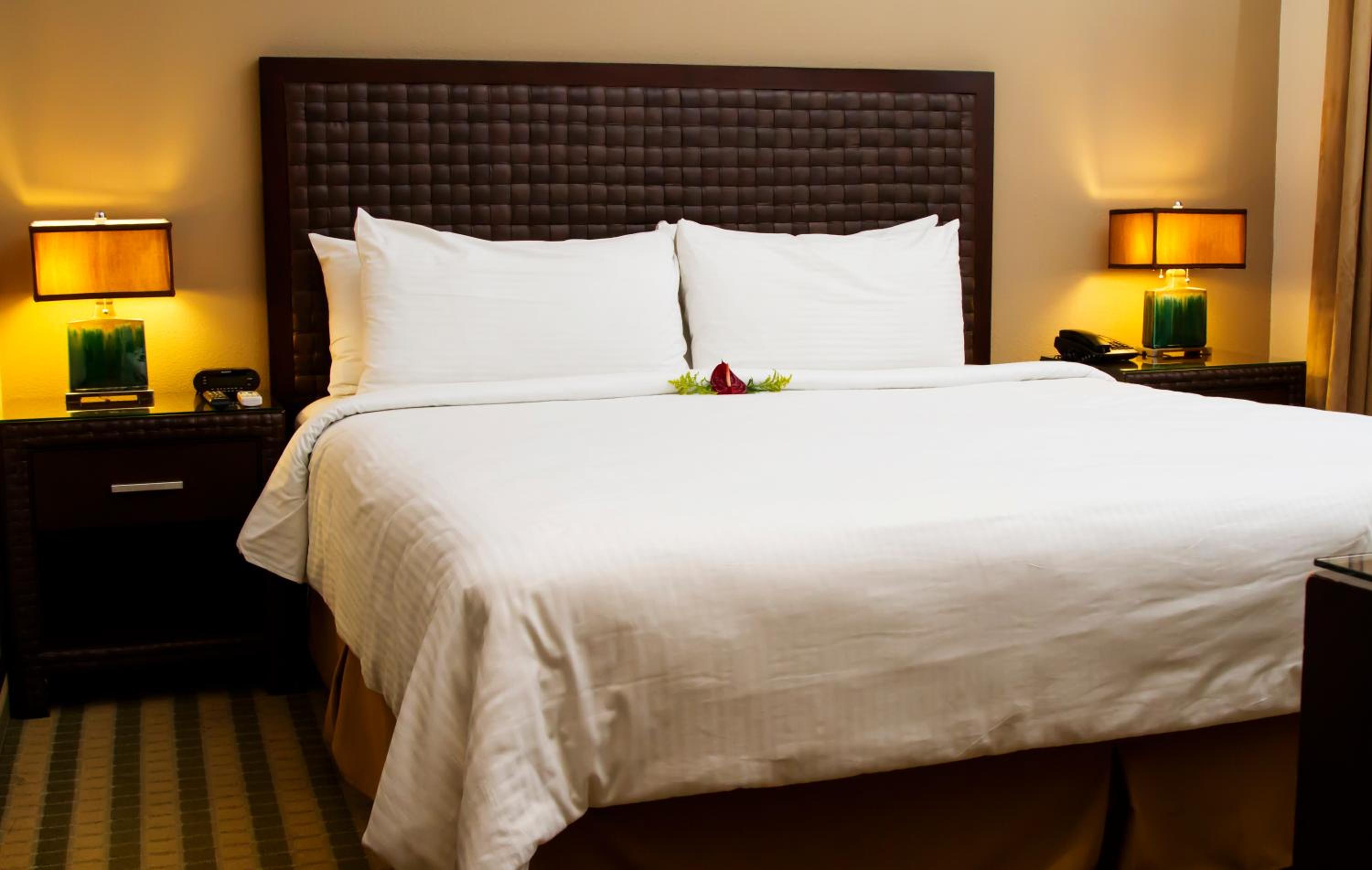 Bed & Sleeping Area