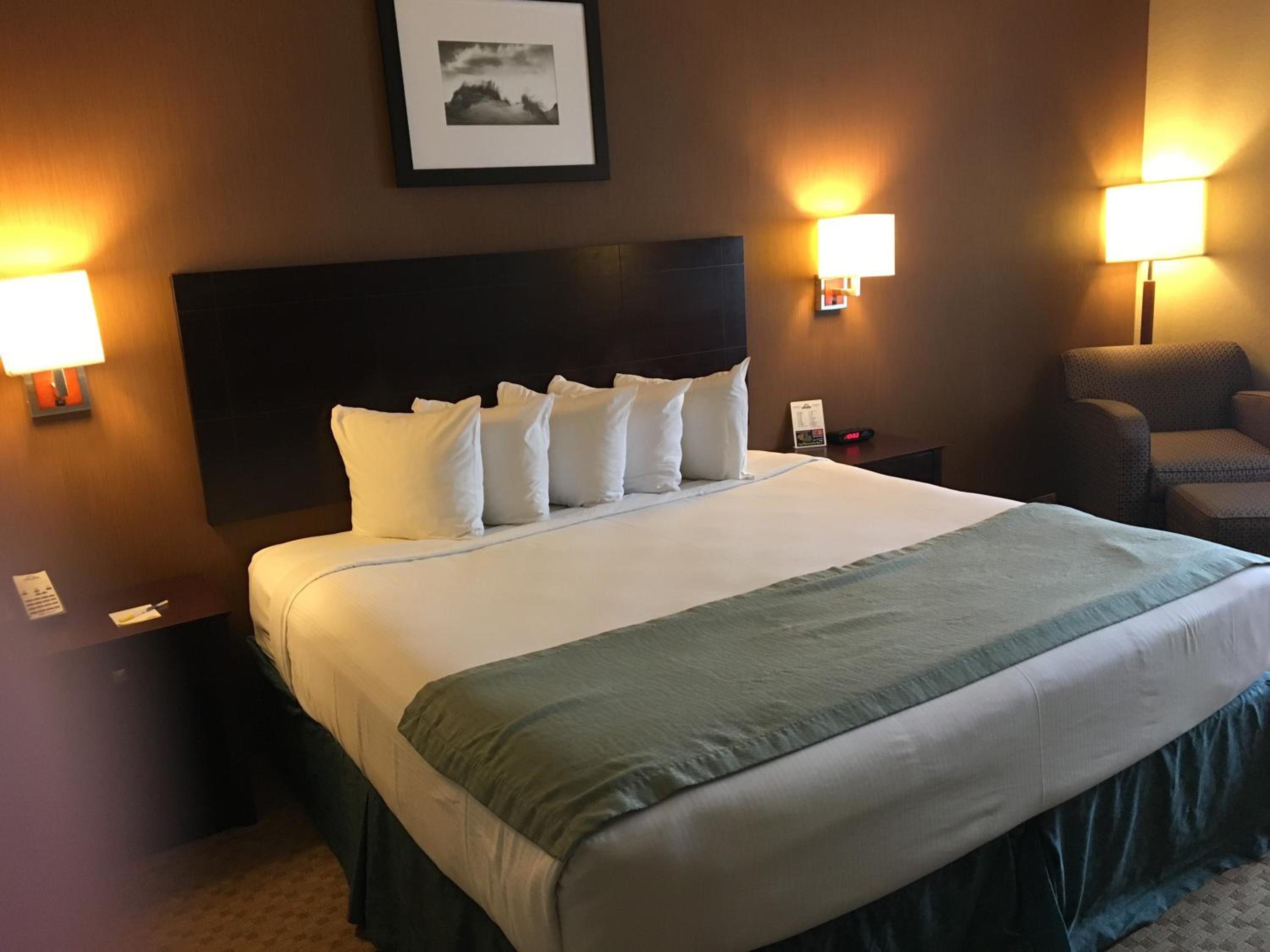 Standard King Room