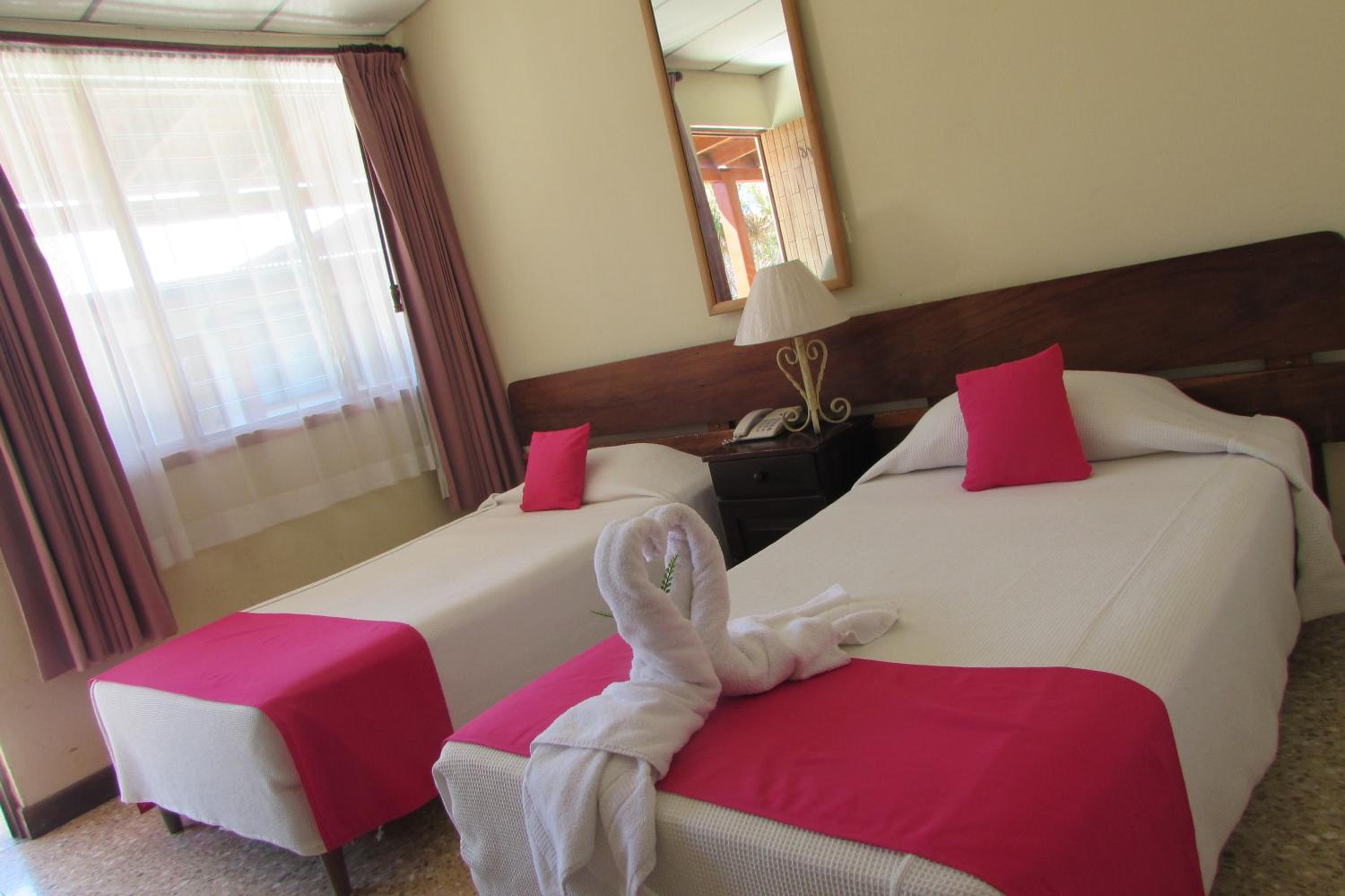 Twin Room photo 3