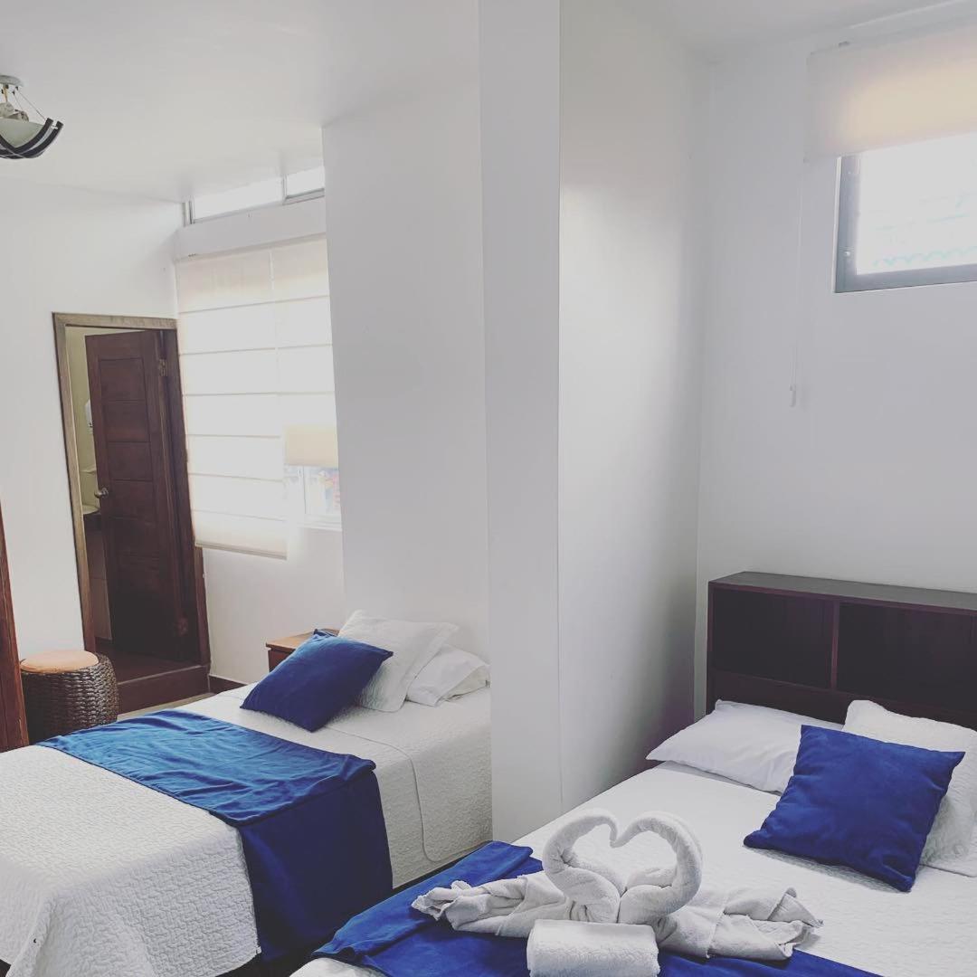 Twin Room photo 3