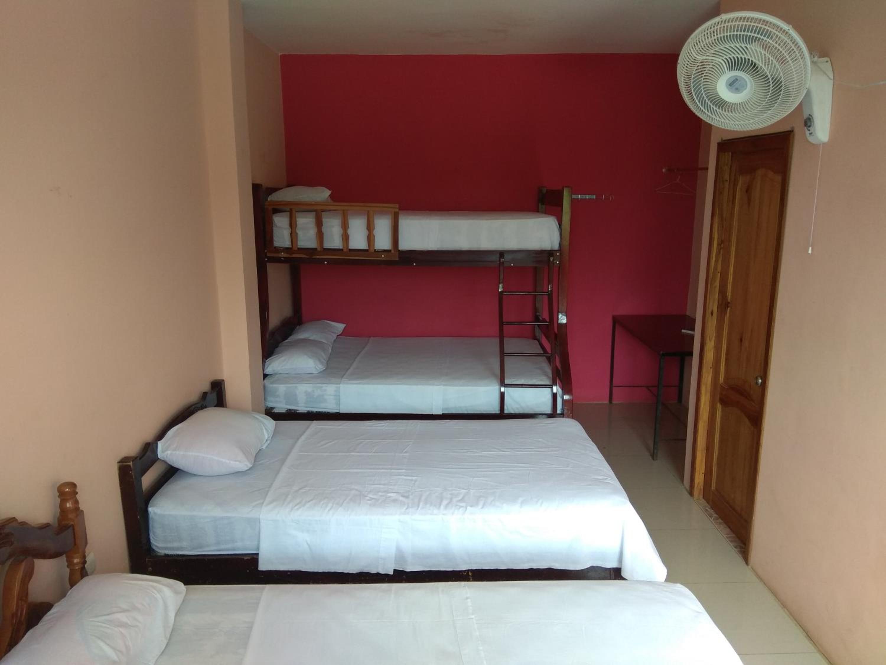 Bed in 4-Bed Mixed Dormitory Room photo 1