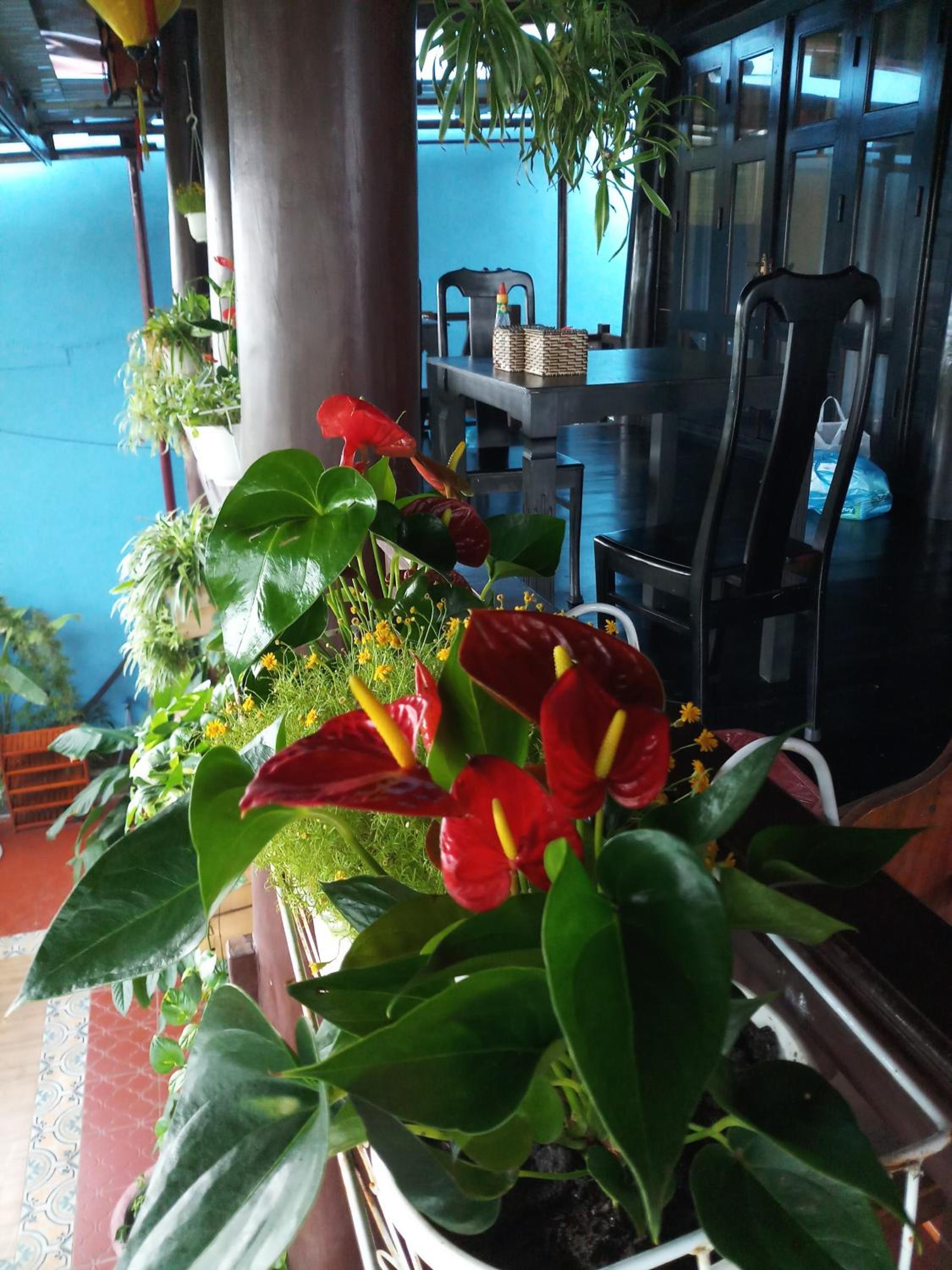 Suite - Photo 20