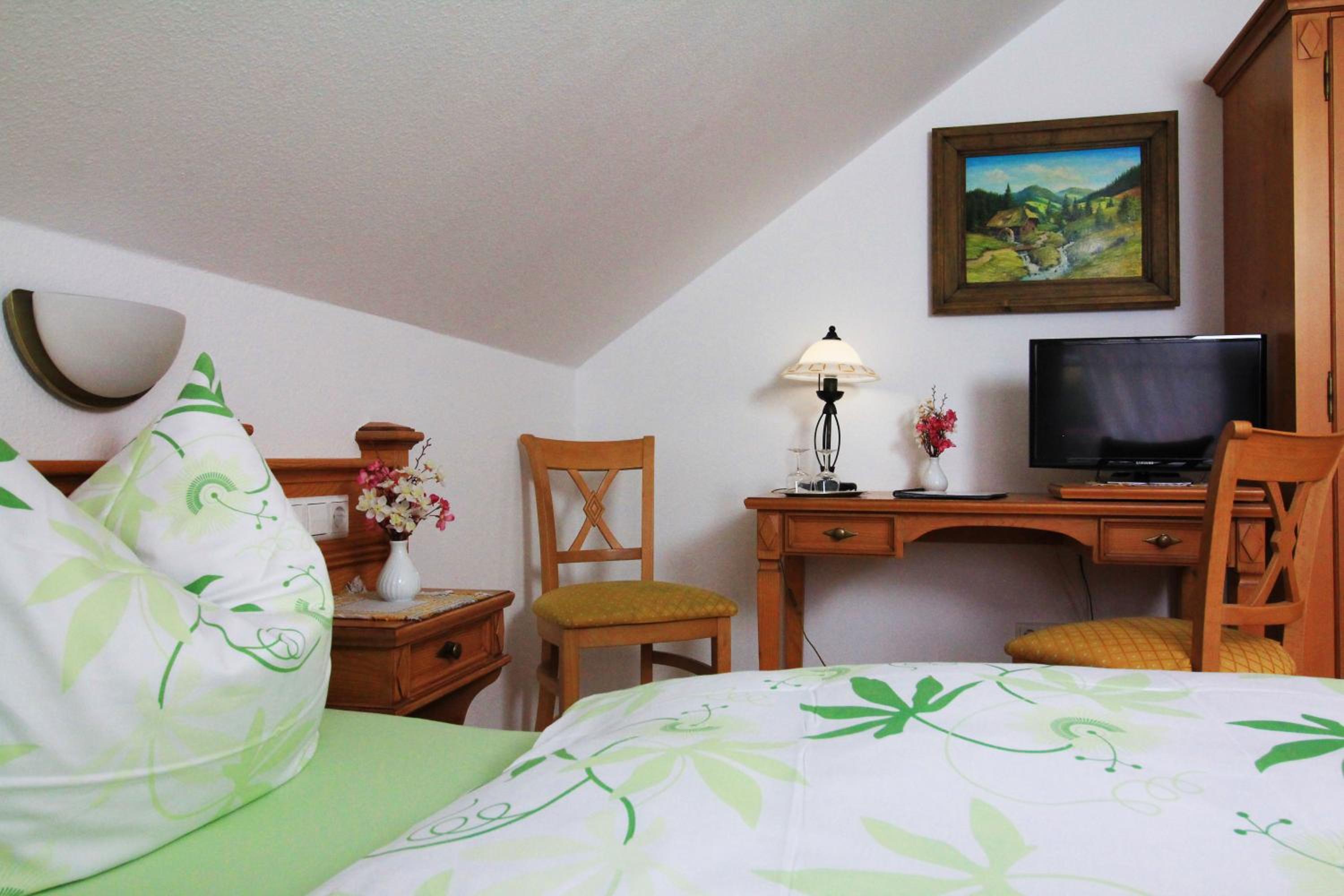 Double Room with Mountain View