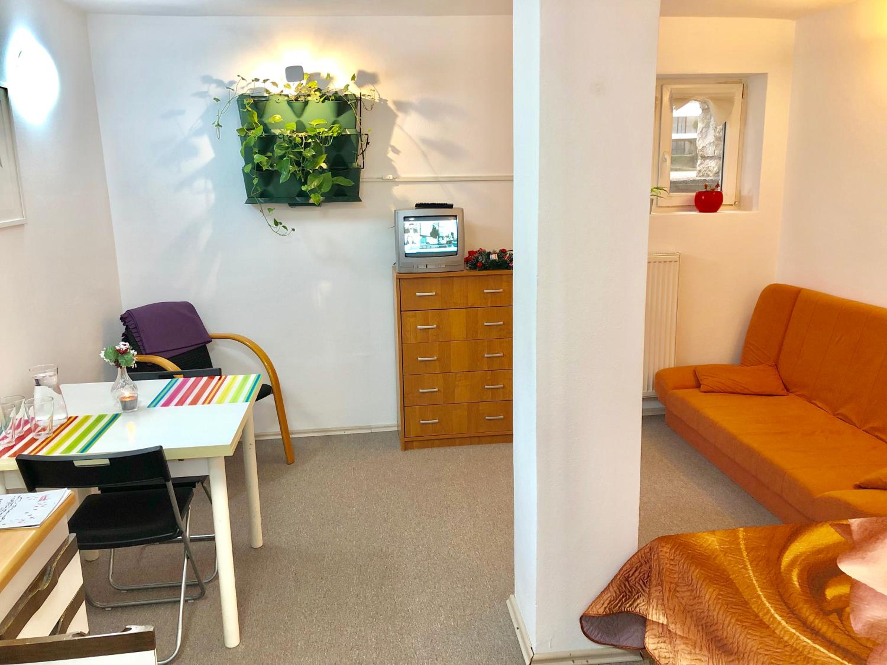 Economy Studio Apartment - Basement Level