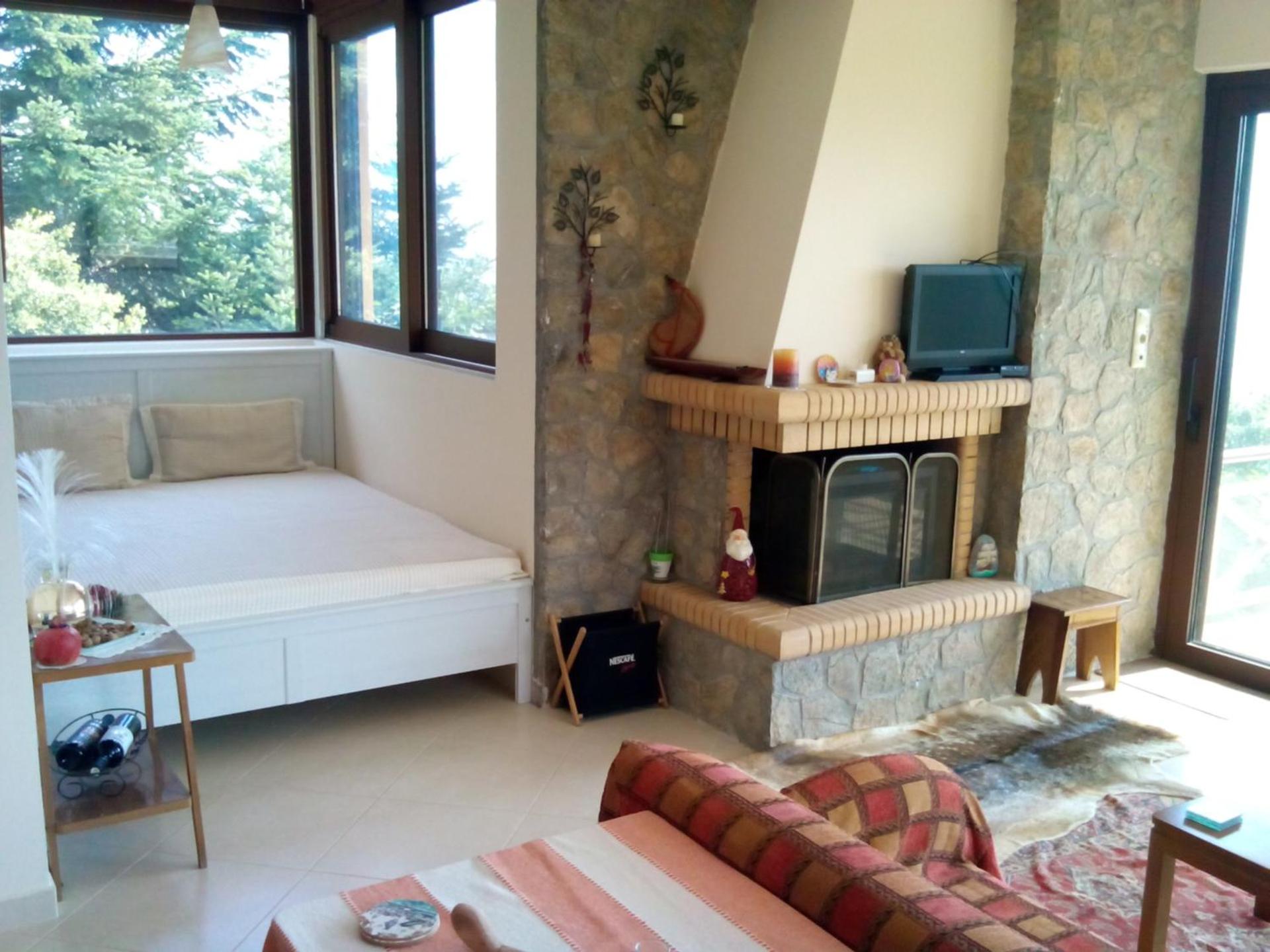 Studio with Fireplace photo 1