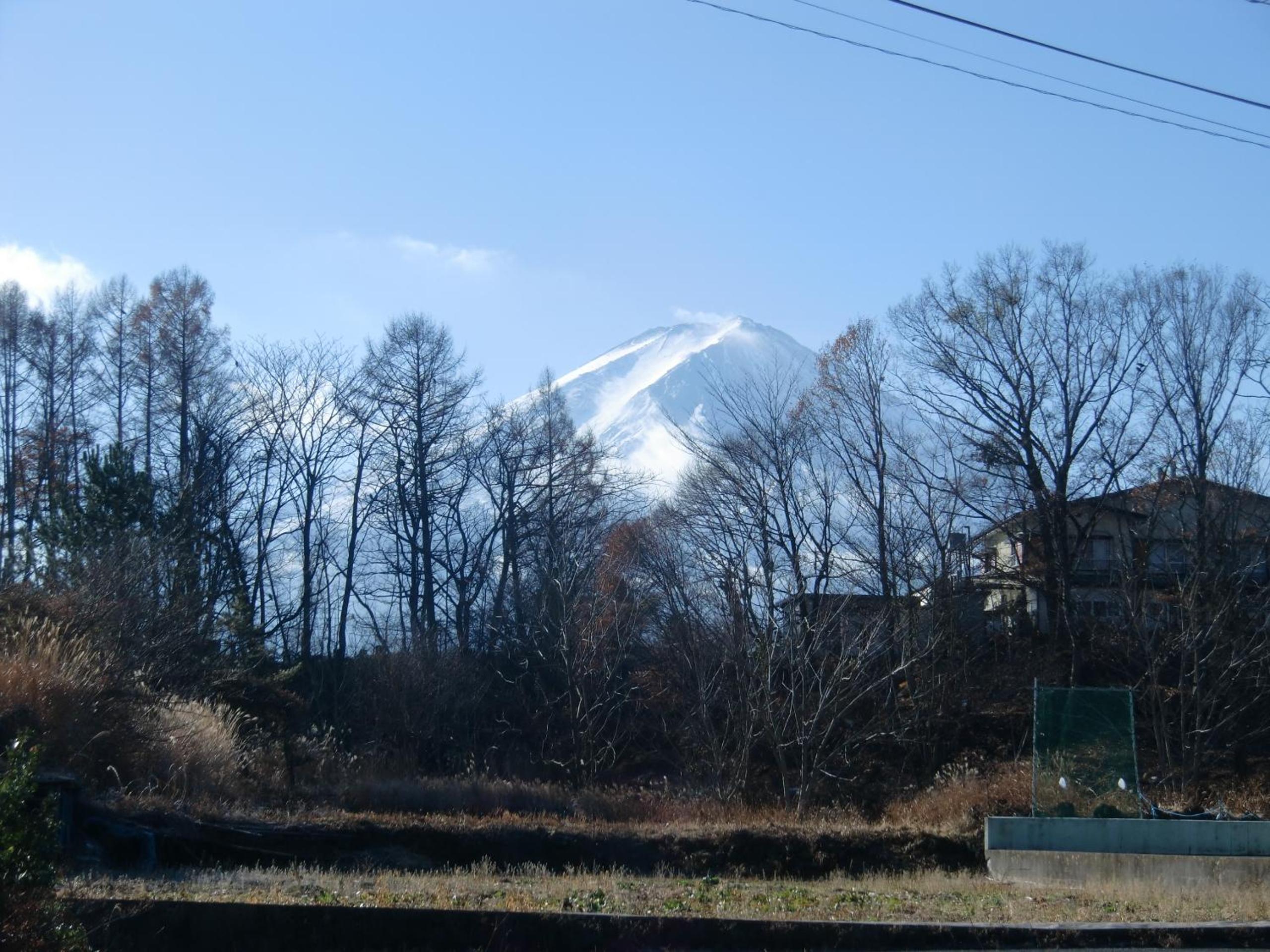 Villa with Tatami Area