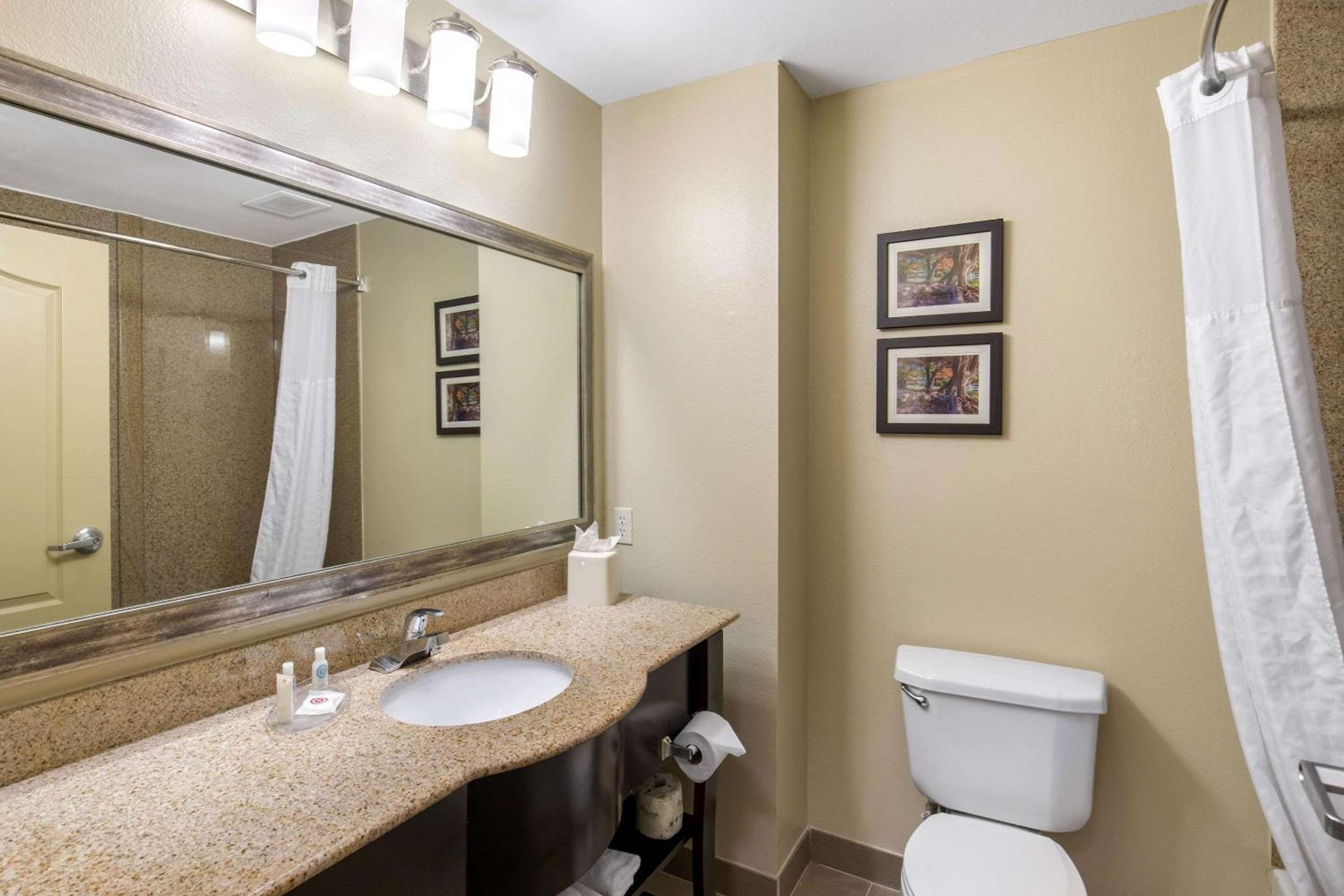King Suite - Non-Smoking - Photo 5