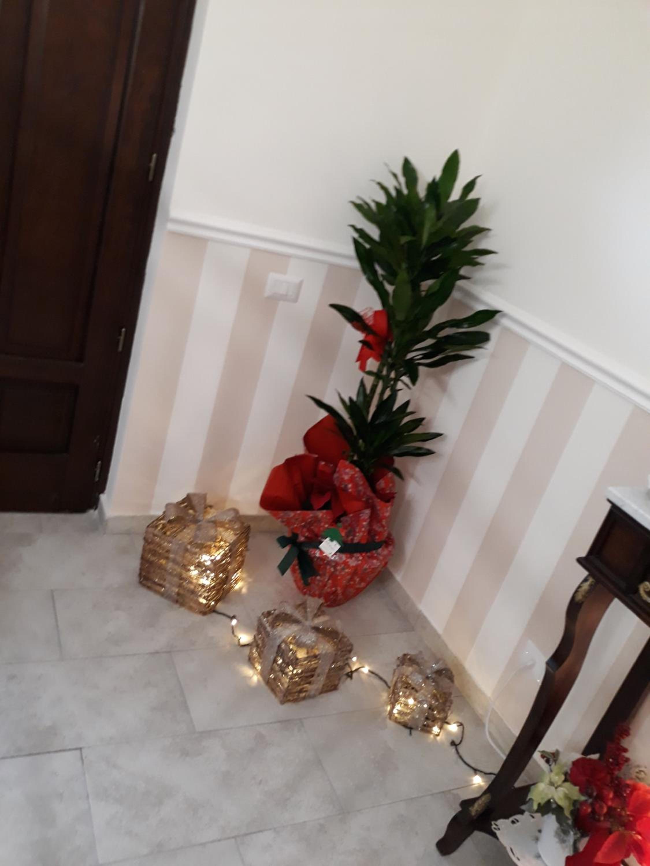 King Room with Garden View - Photo 19