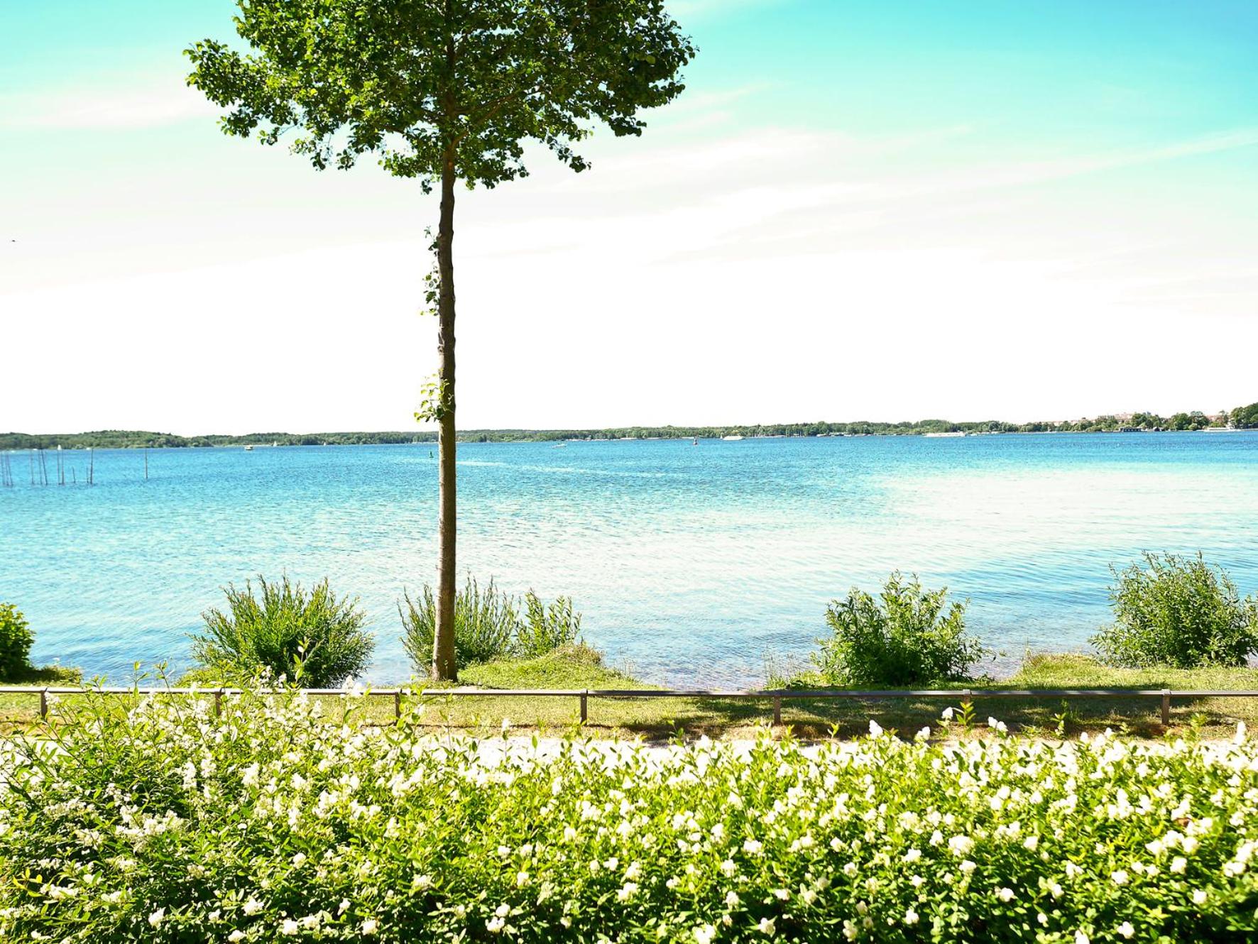 Single Room with Lake View photo 2