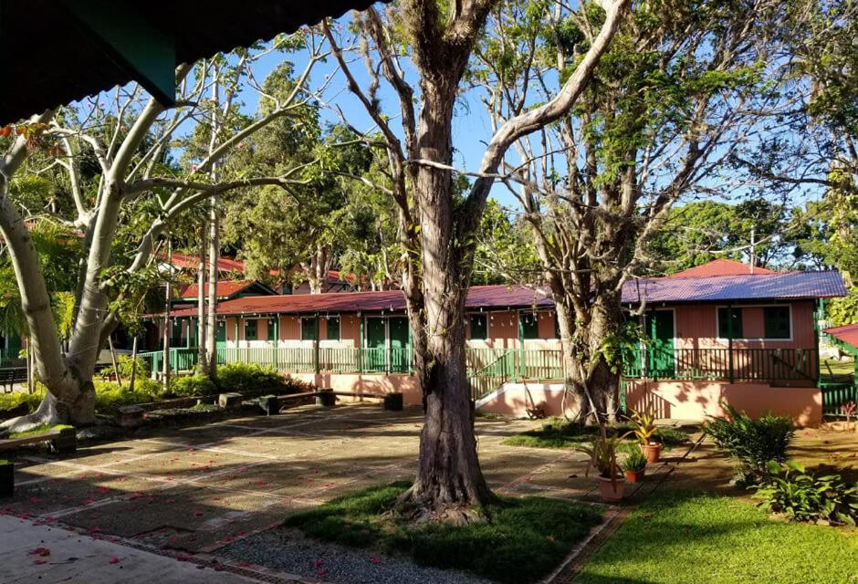 Queen Room - Disability Access - Borbon