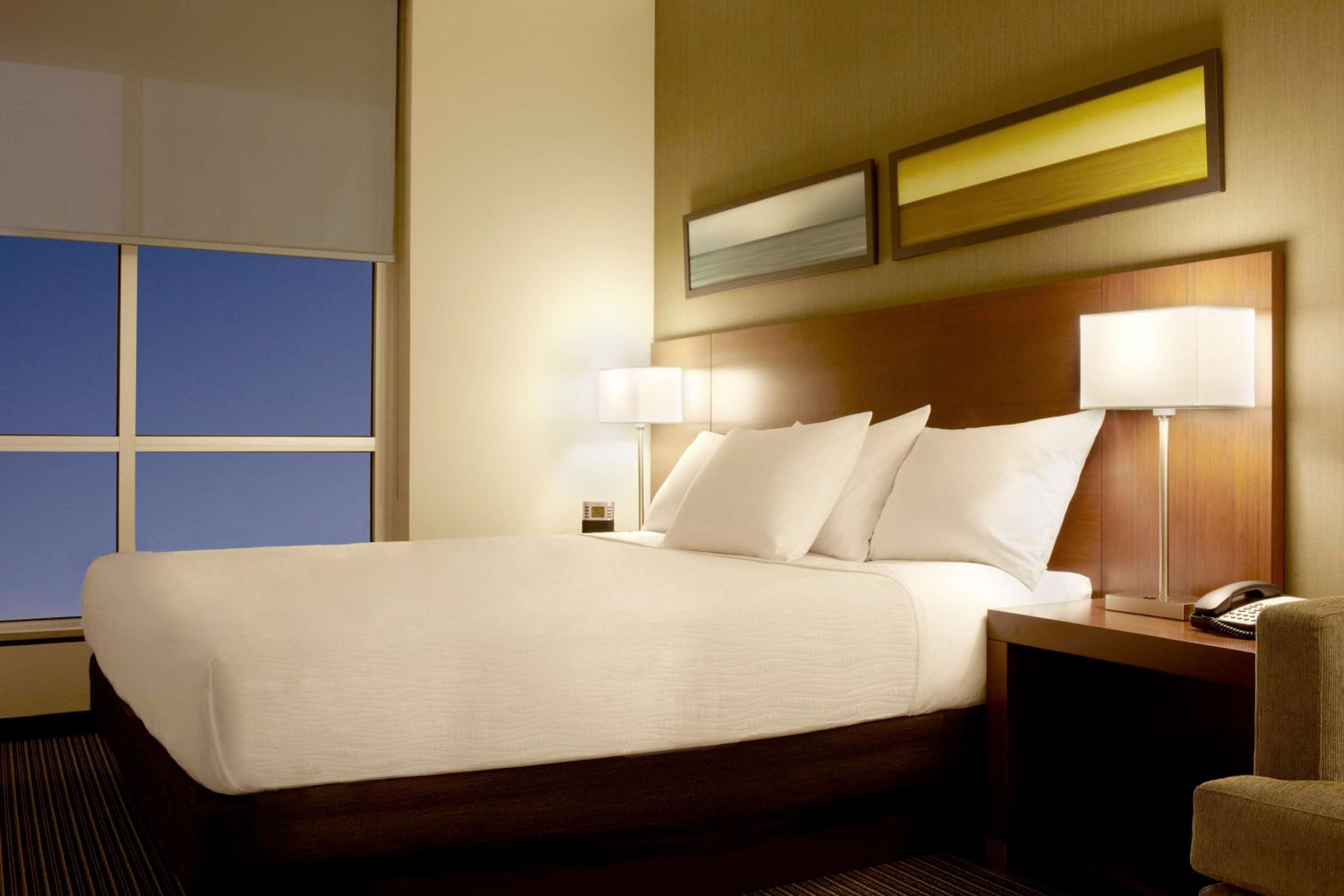 Specialty King Room with Sofa Bed