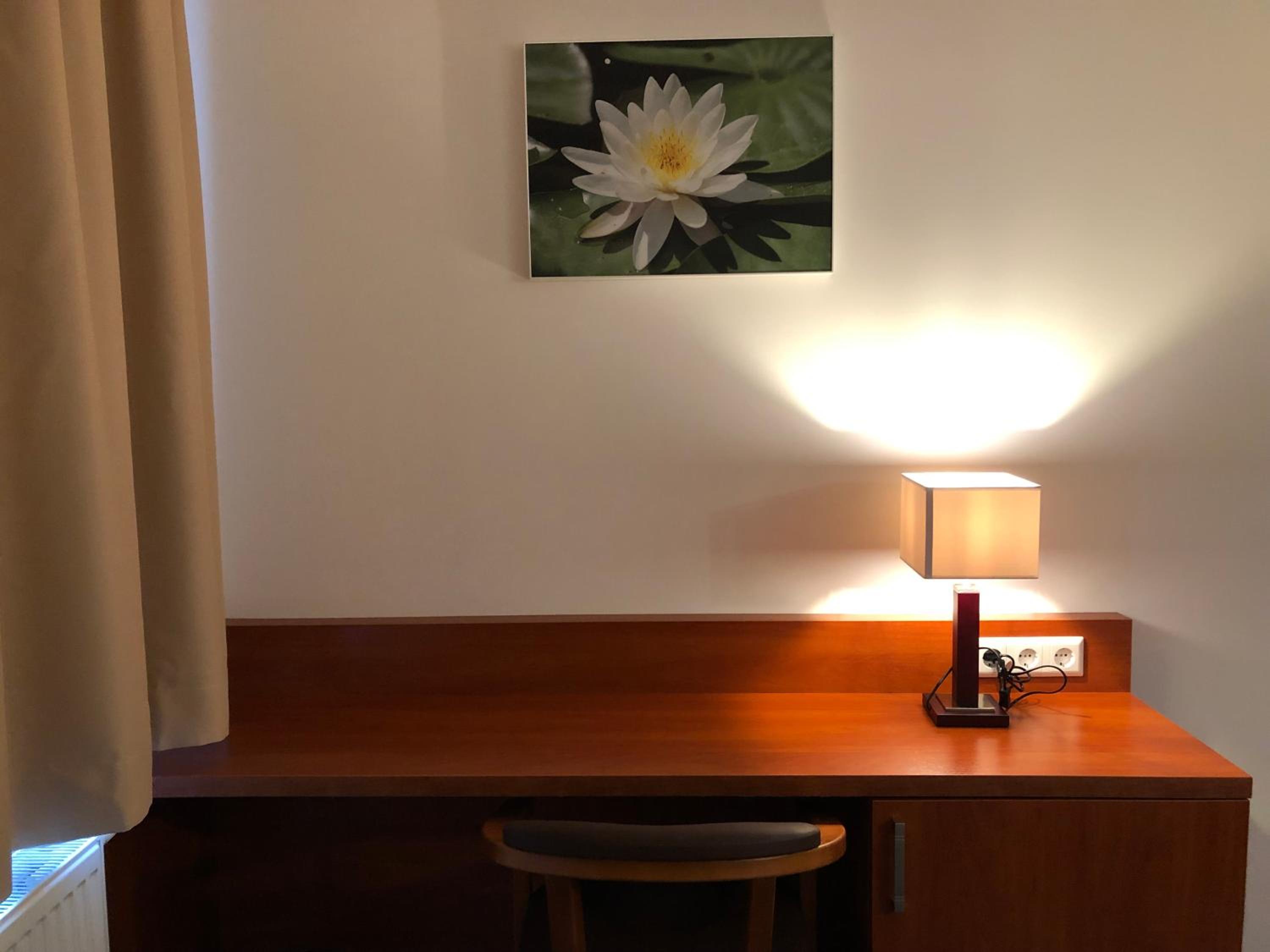Superior Single Room photo 2