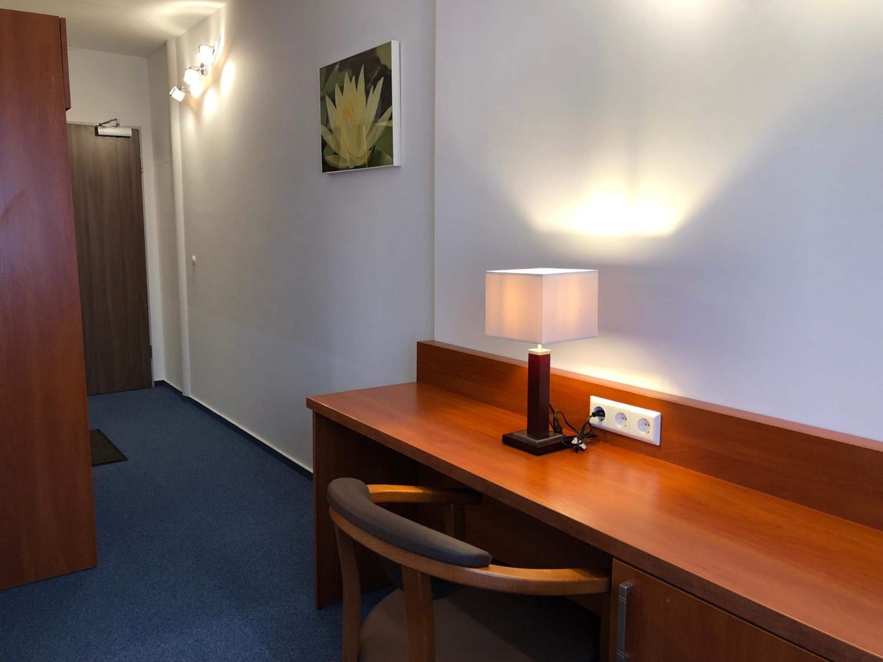 Superior Single Room photo 3
