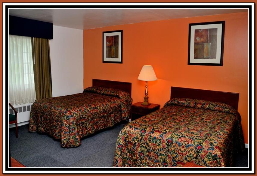 Double Room with Two Double Beds photo 3