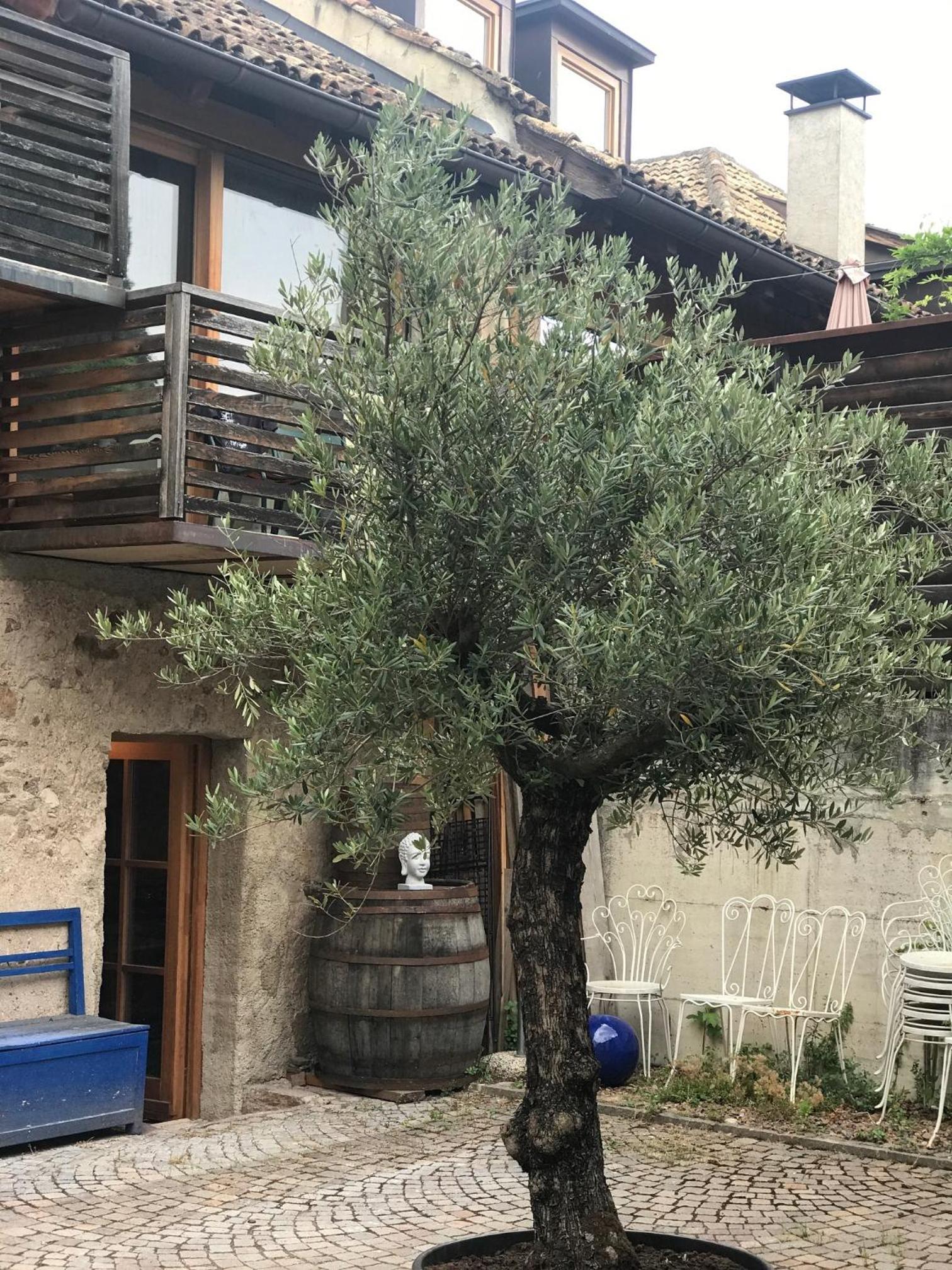 Apartment - Photo 57